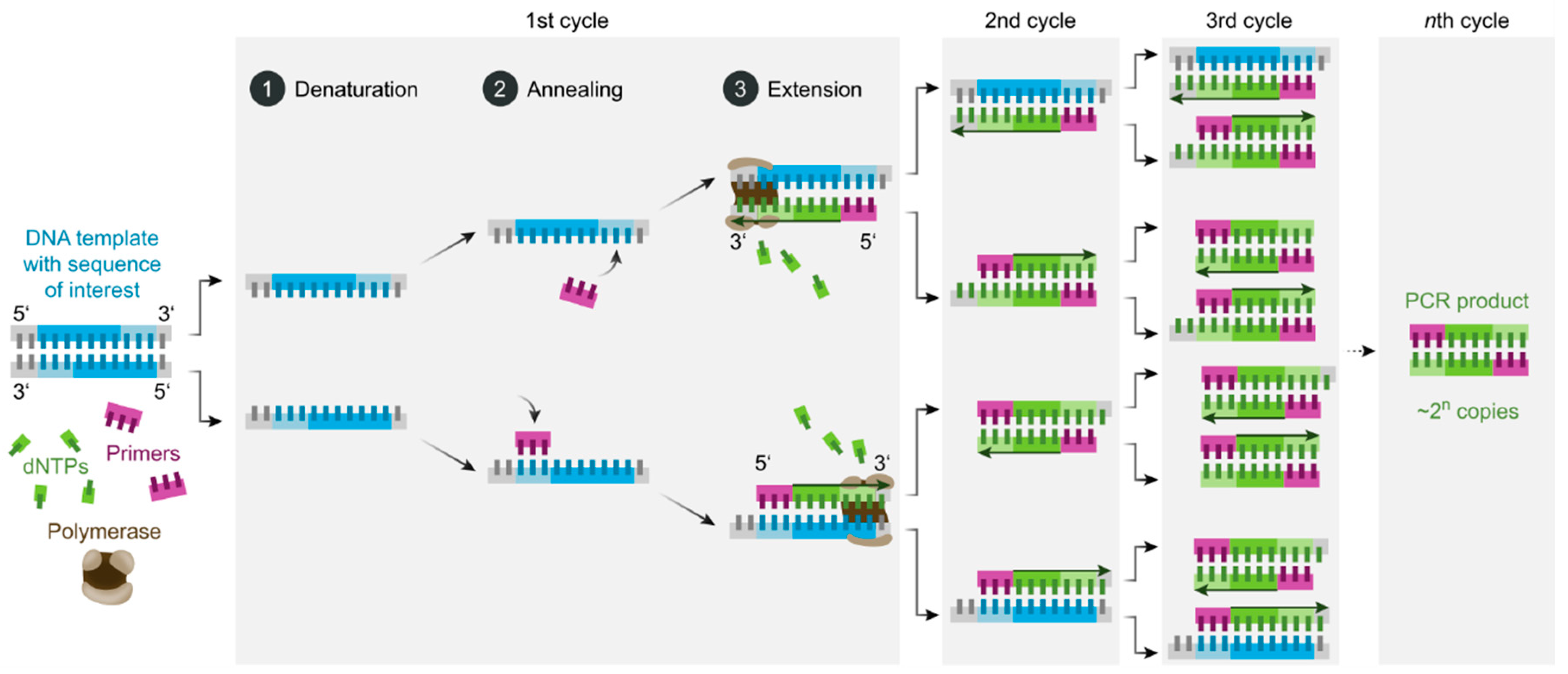 Preprints 119756 g001