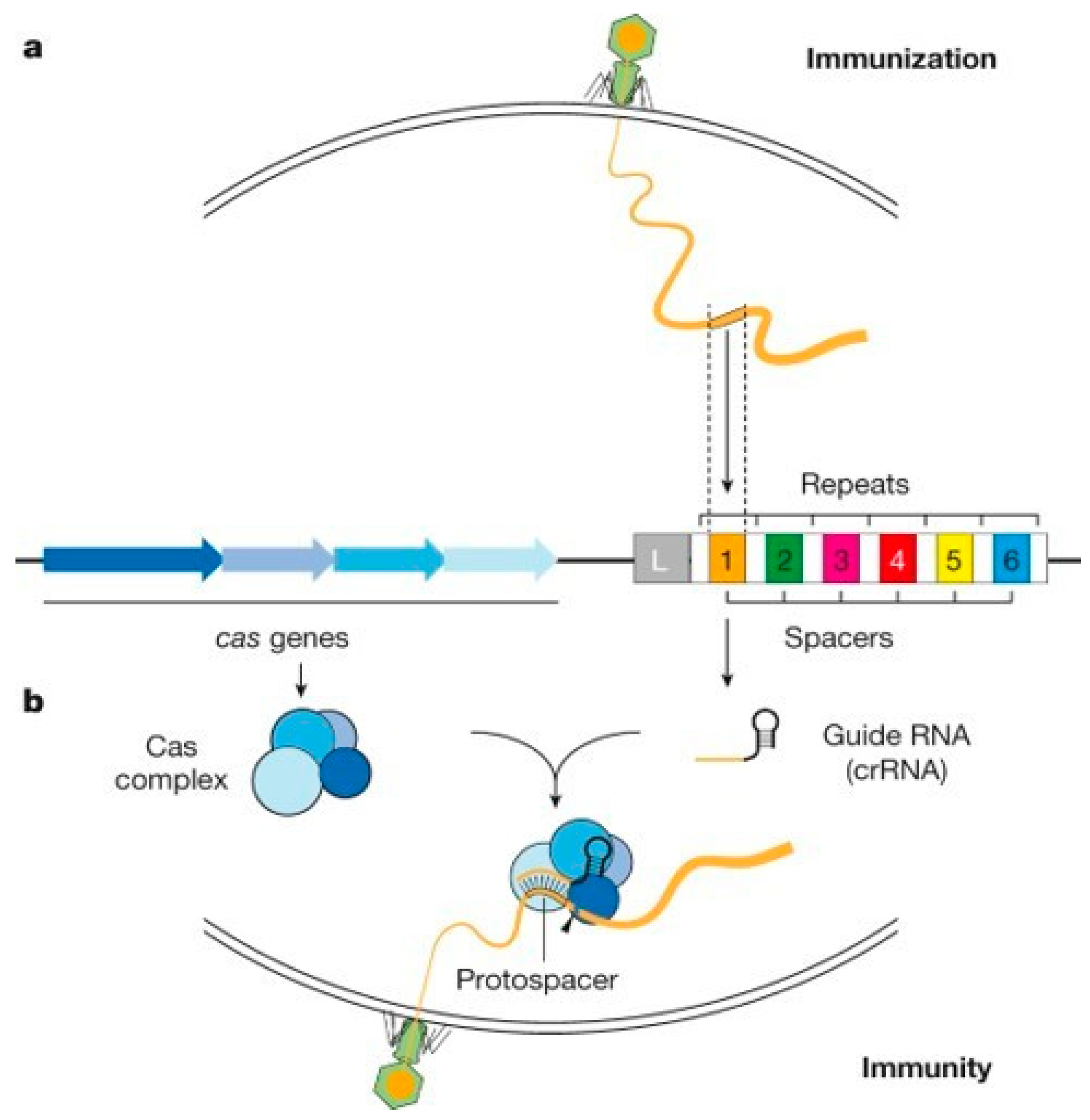 Preprints 119756 g002