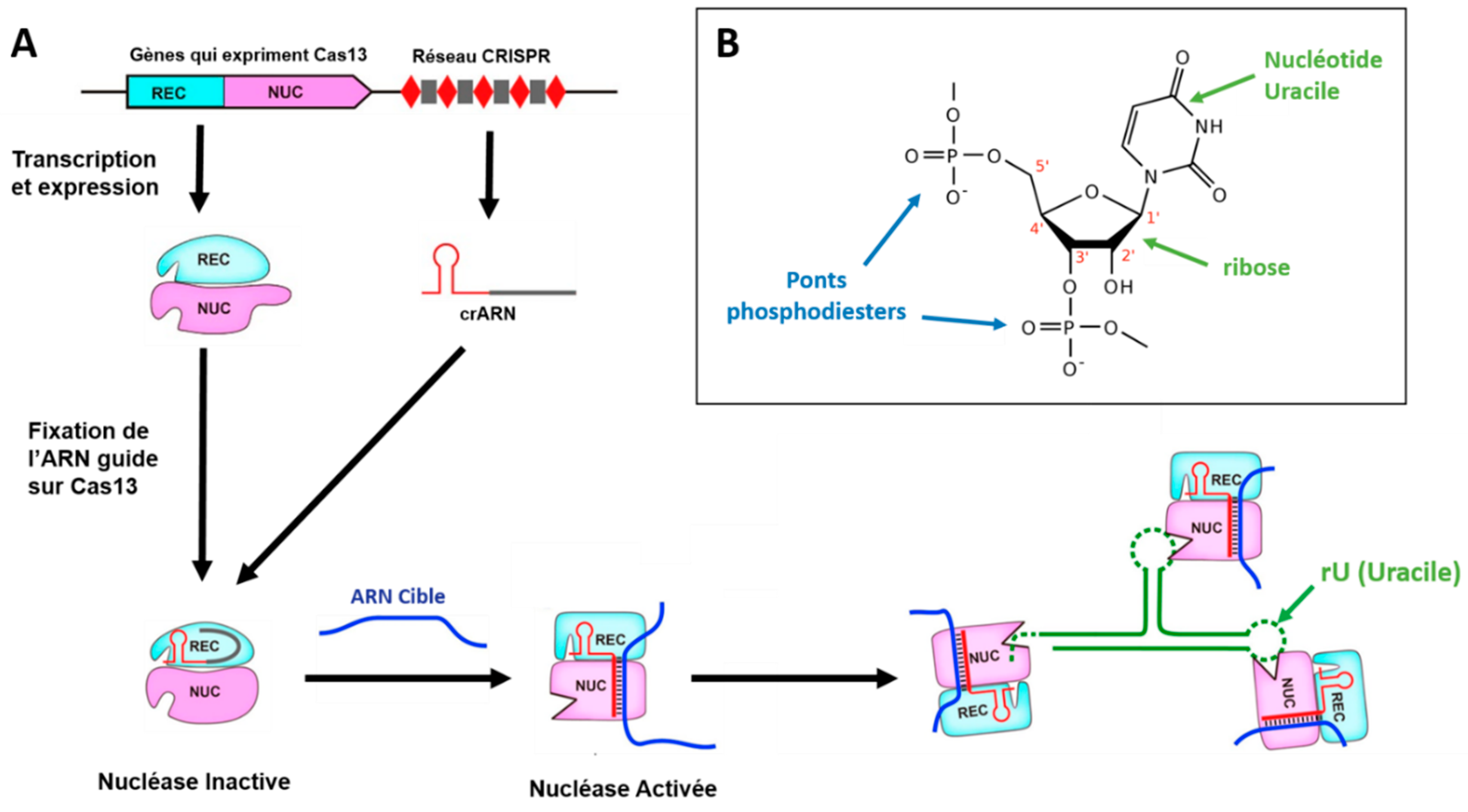 Preprints 119756 g004