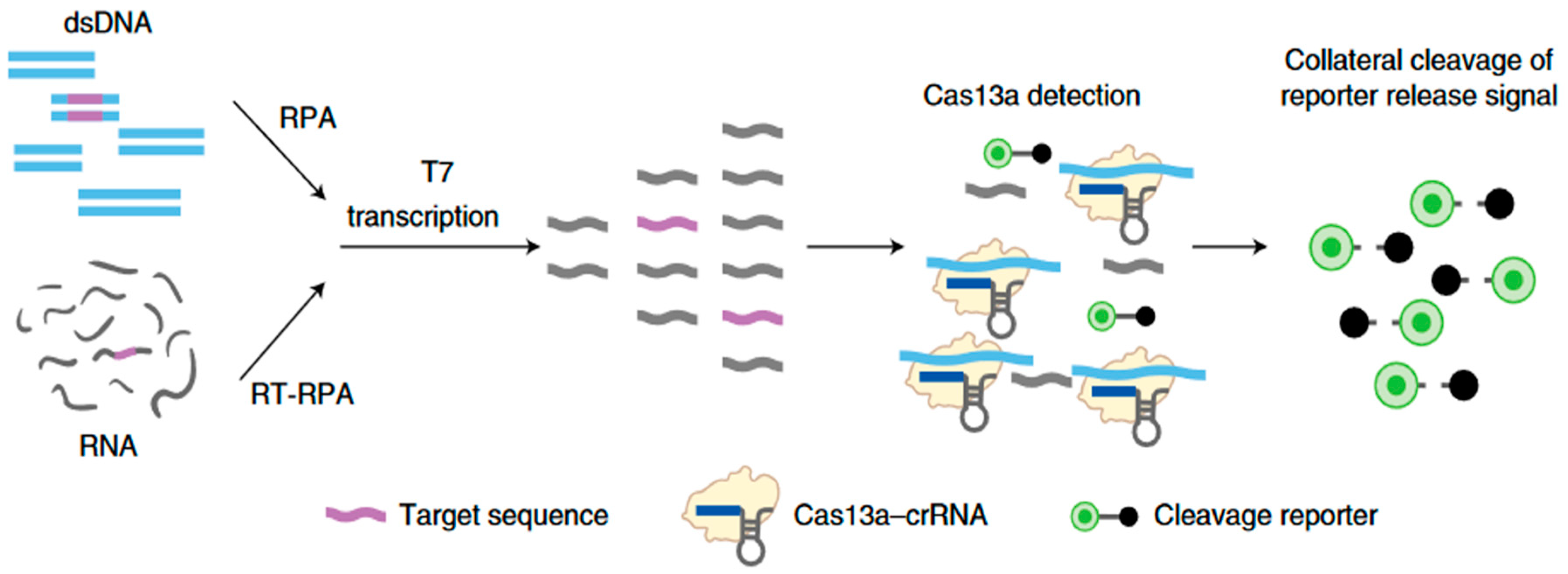 Preprints 119756 g005