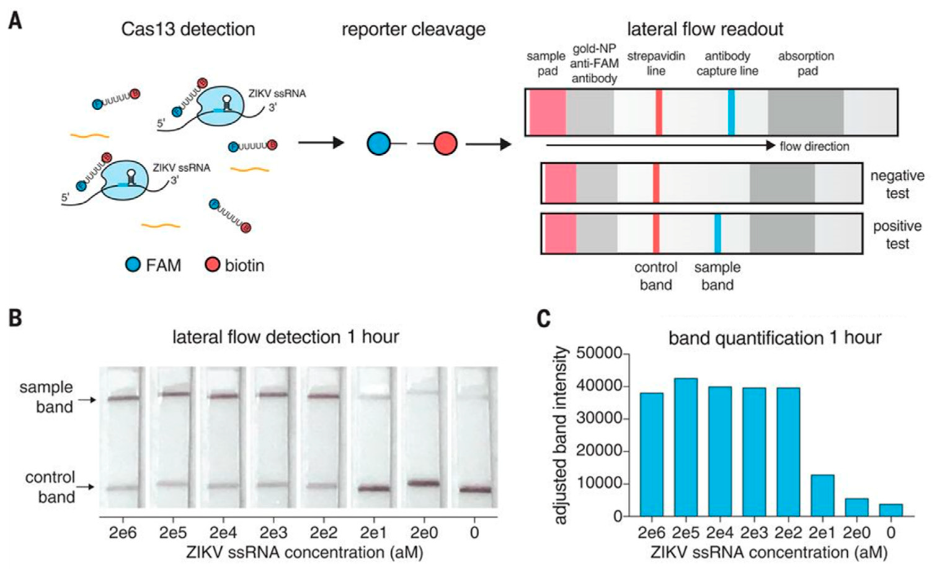 Preprints 119756 g006