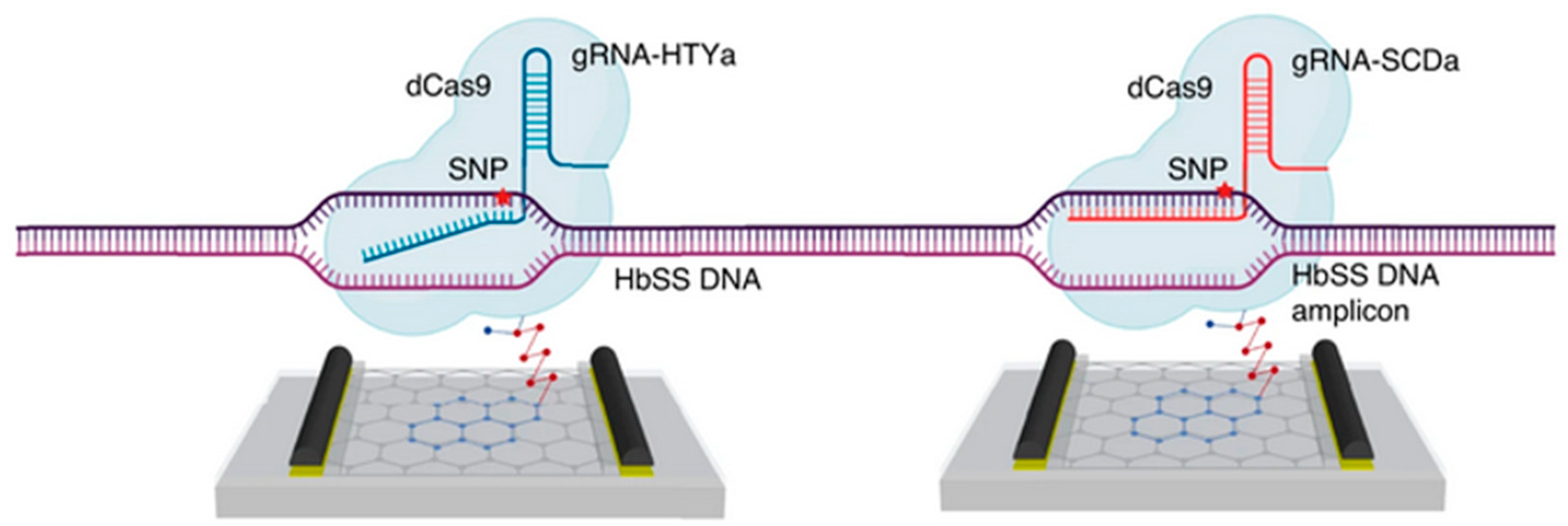 Preprints 119756 g022