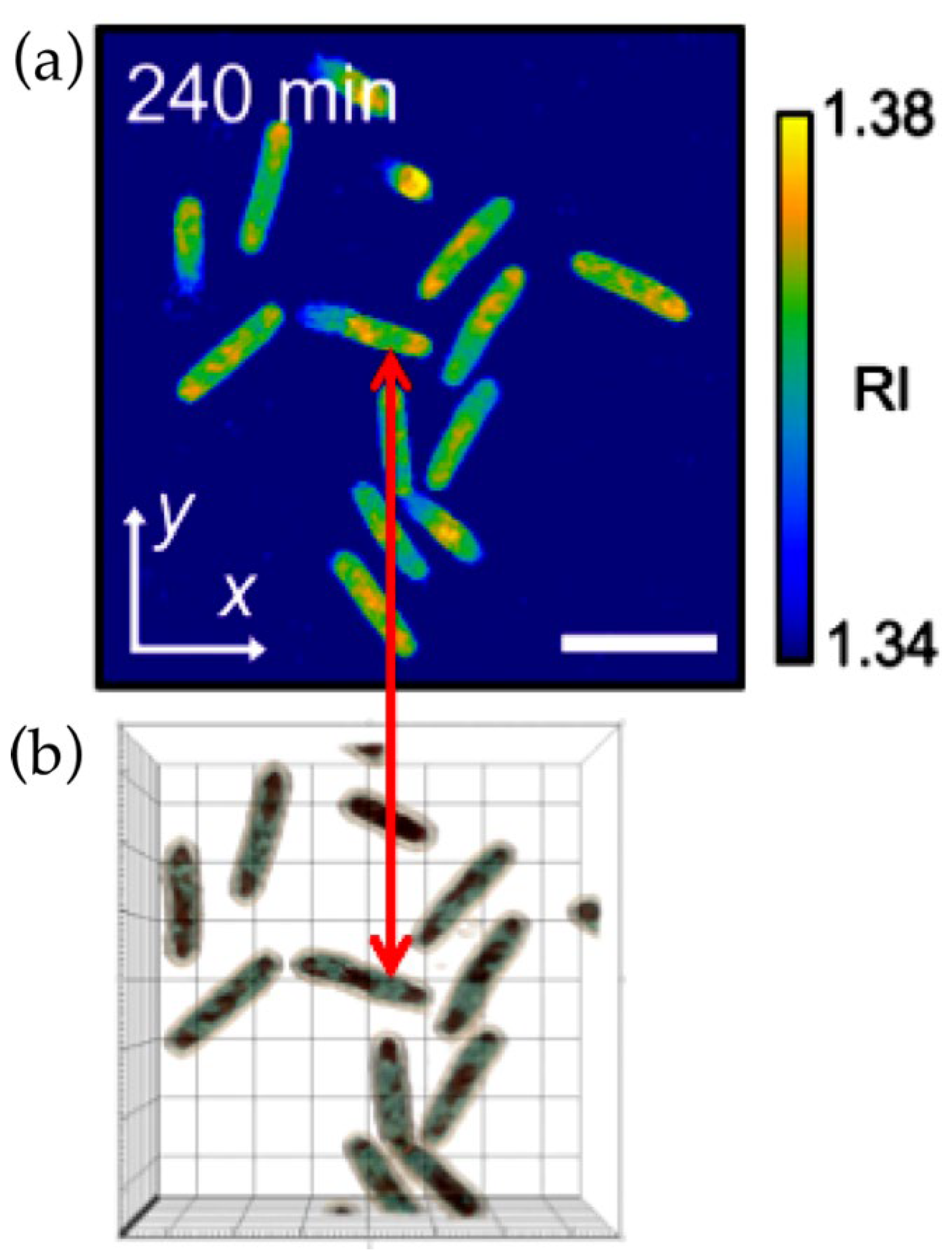 Preprints 102716 g002