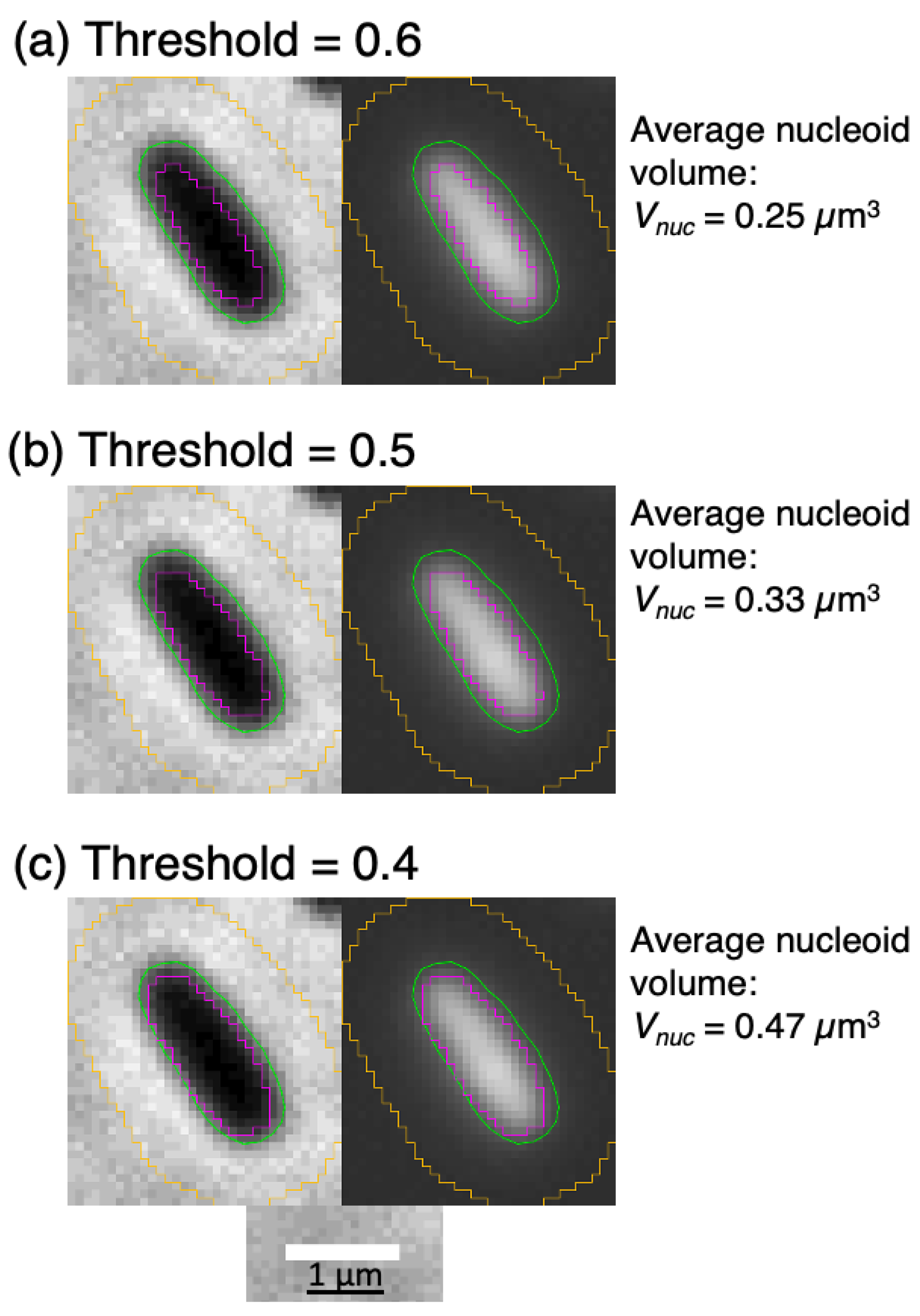 Preprints 102716 g005