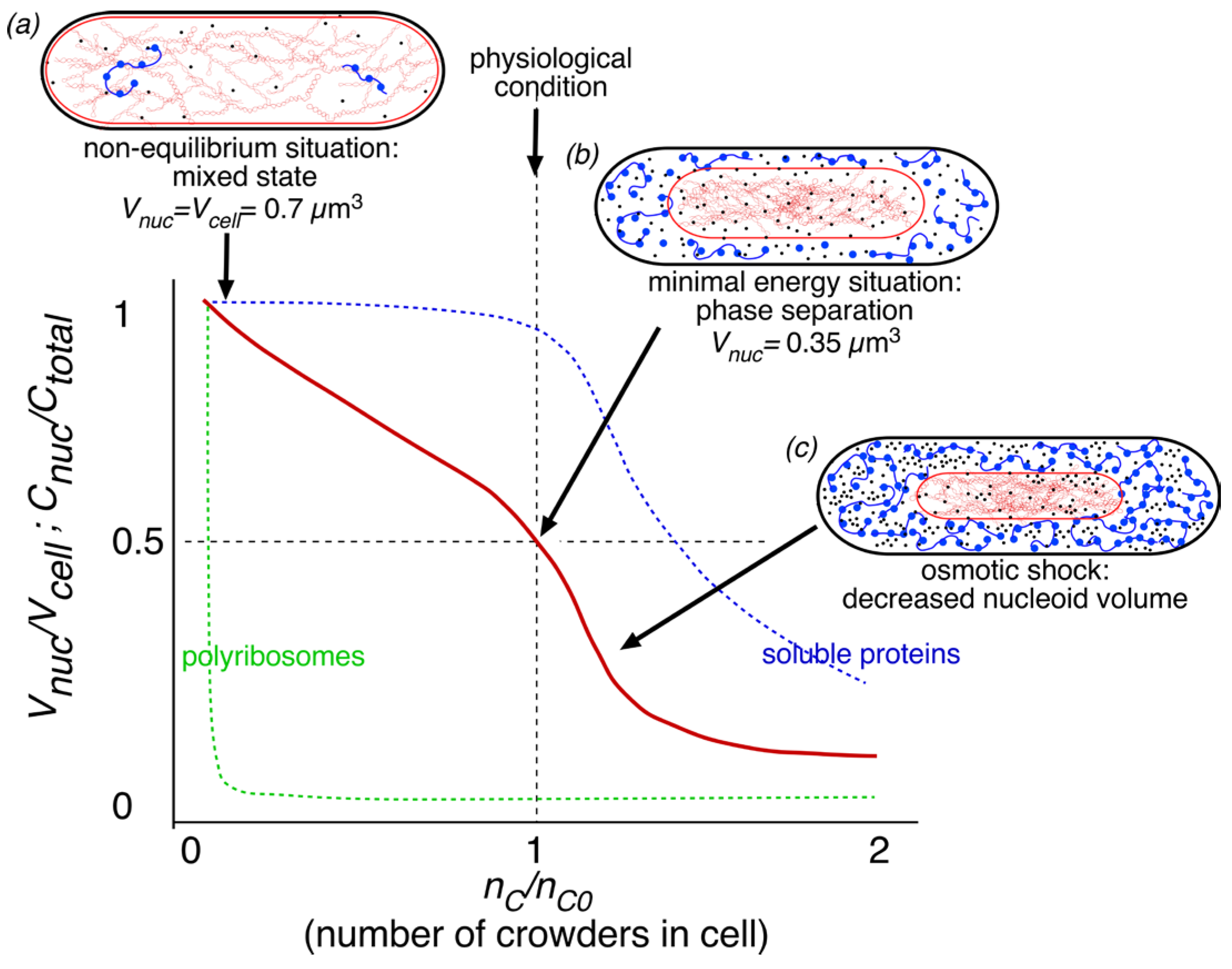 Preprints 102716 g006