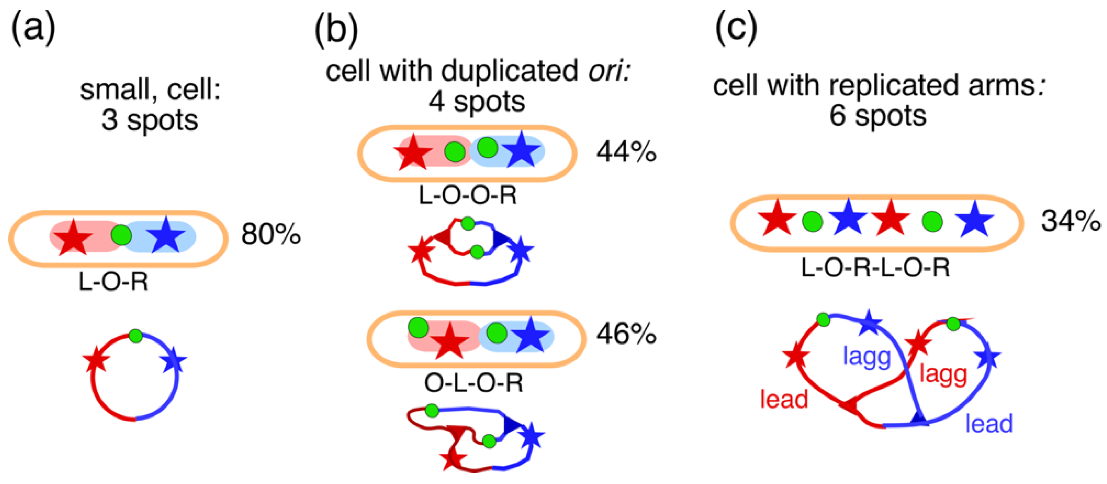 Preprints 102716 g009