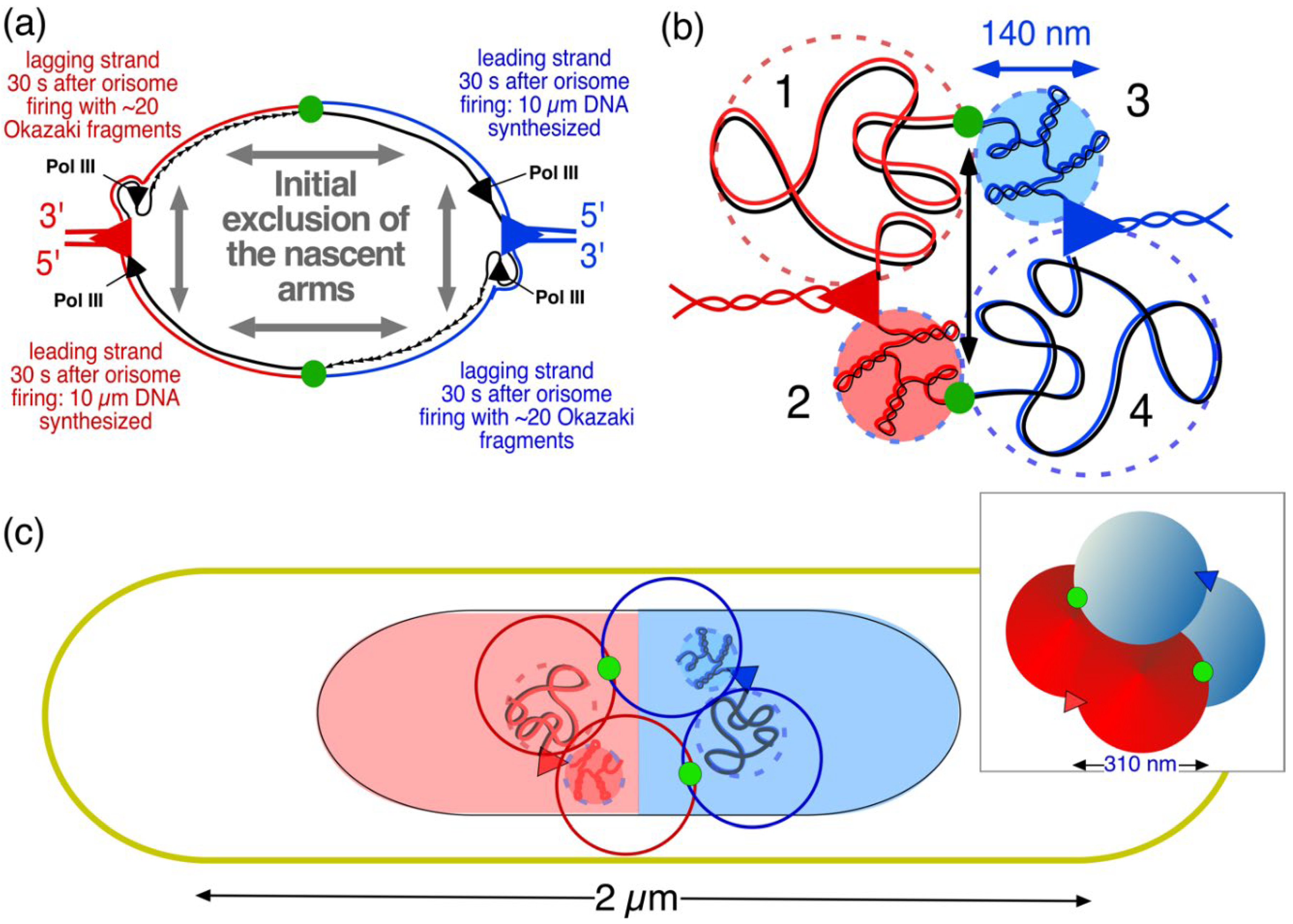 Preprints 102716 g010