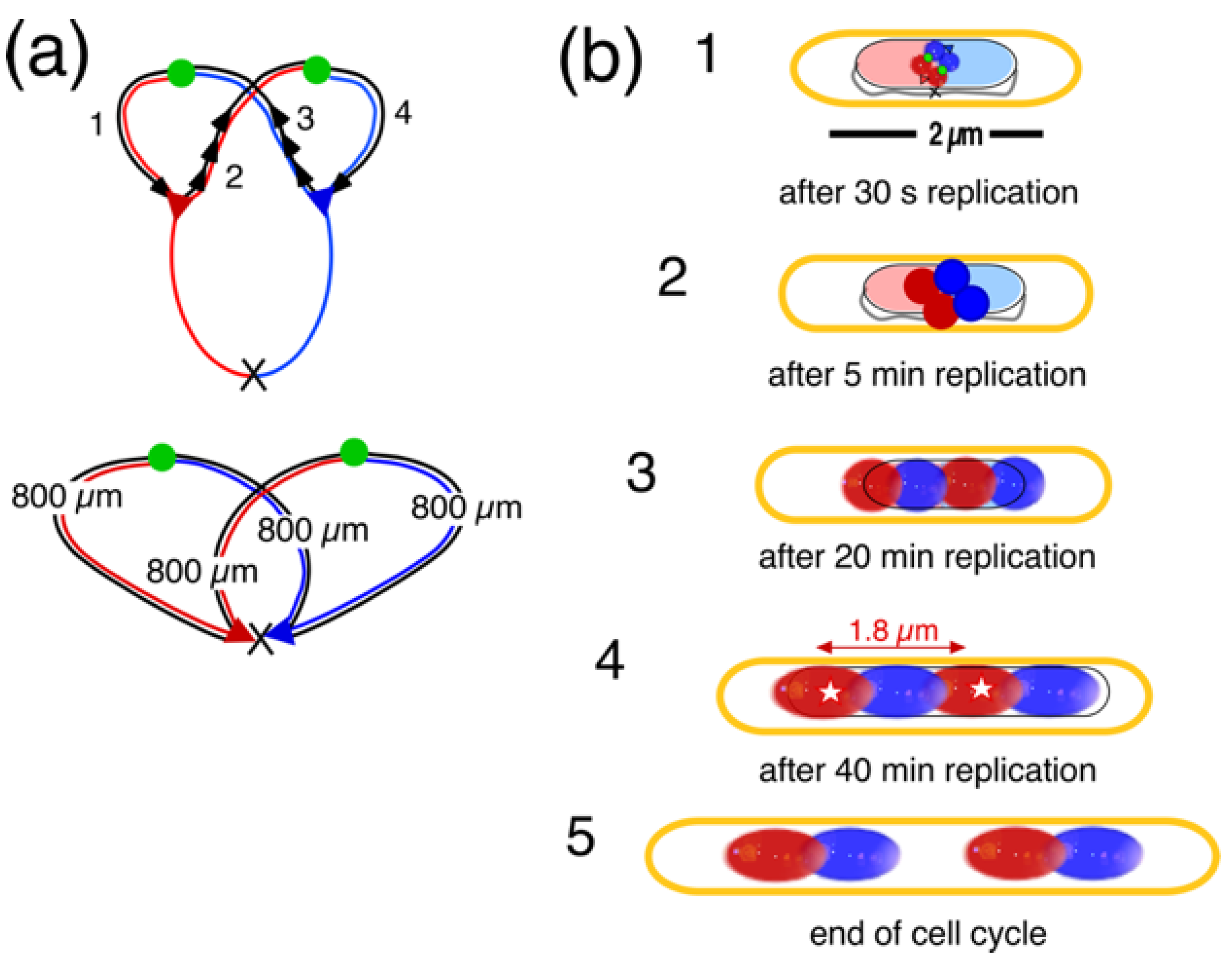 Preprints 102716 g0a1