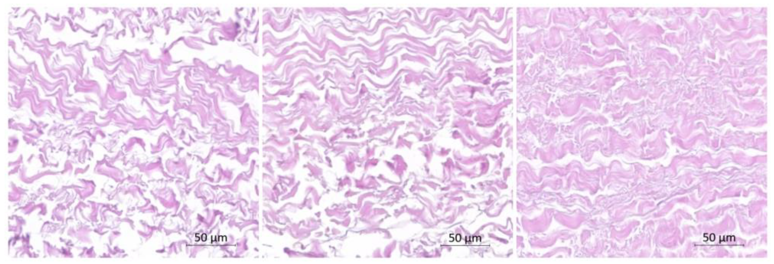 Preprints 78917 g001