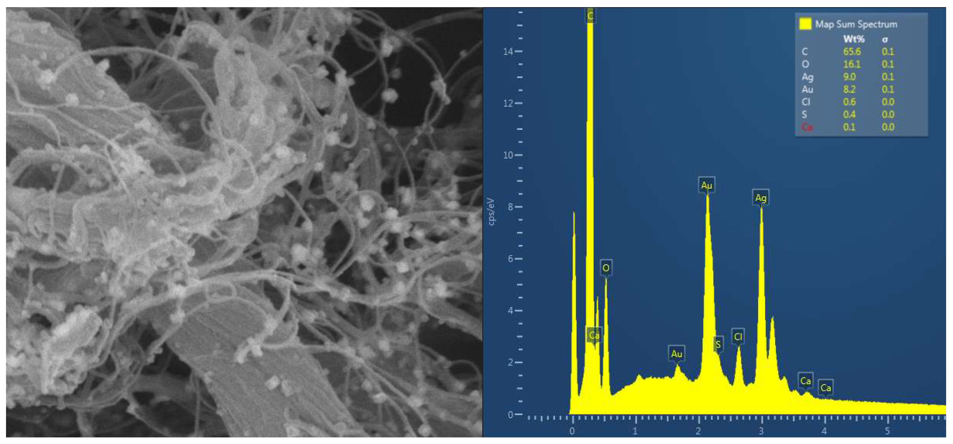 Preprints 78917 g003