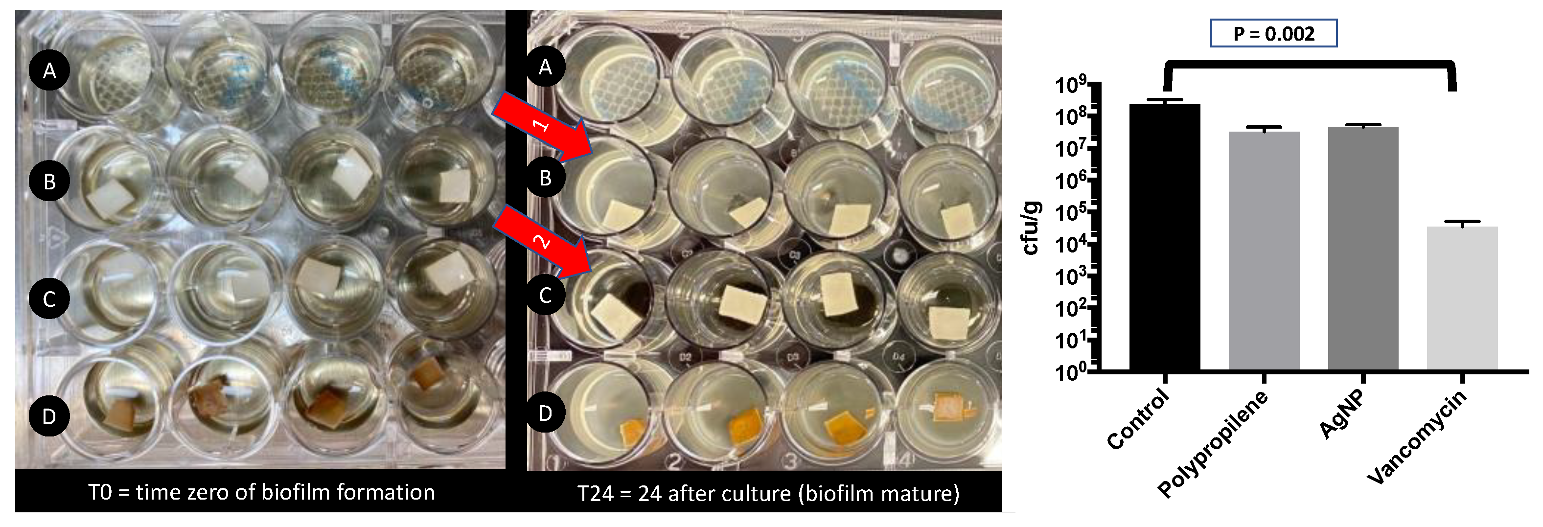 Preprints 78917 g005