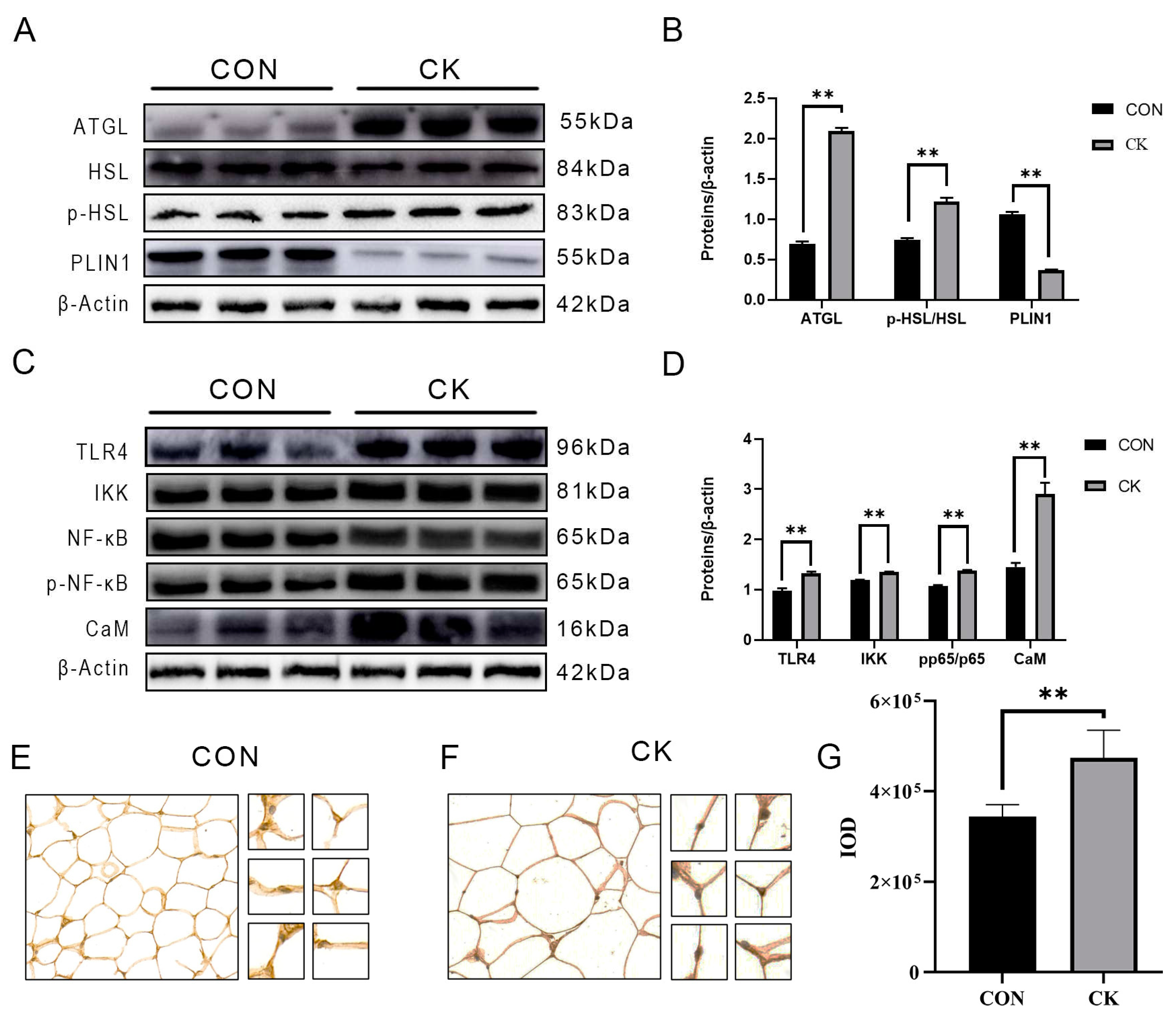 Preprints 83589 g001