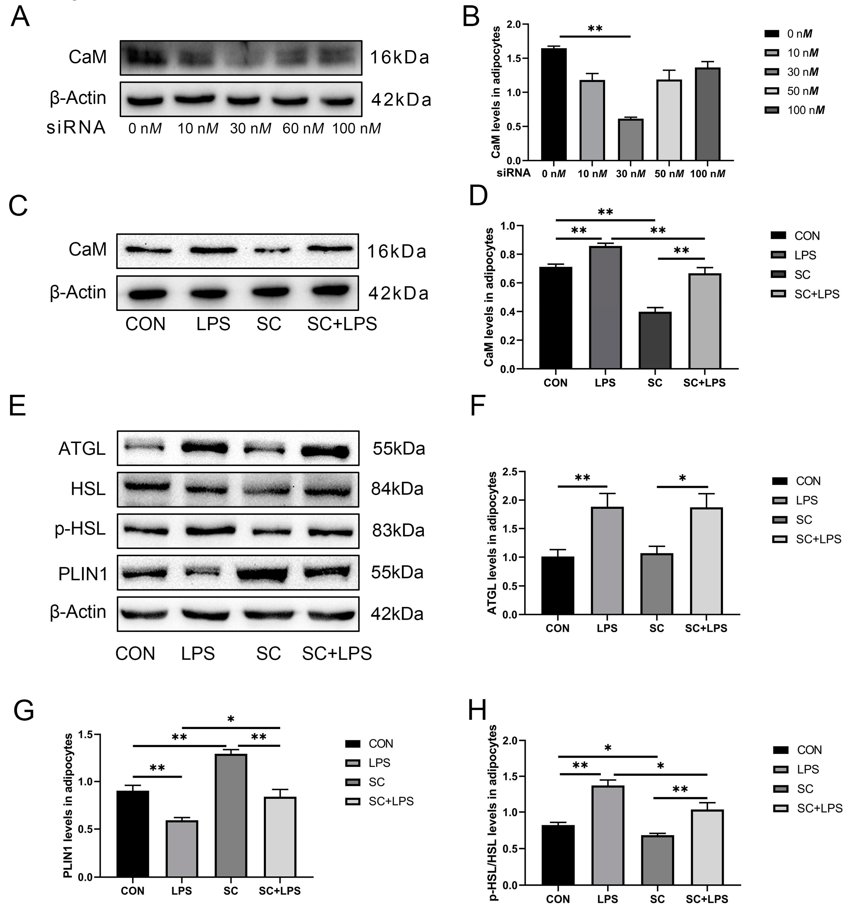 Preprints 83589 g002