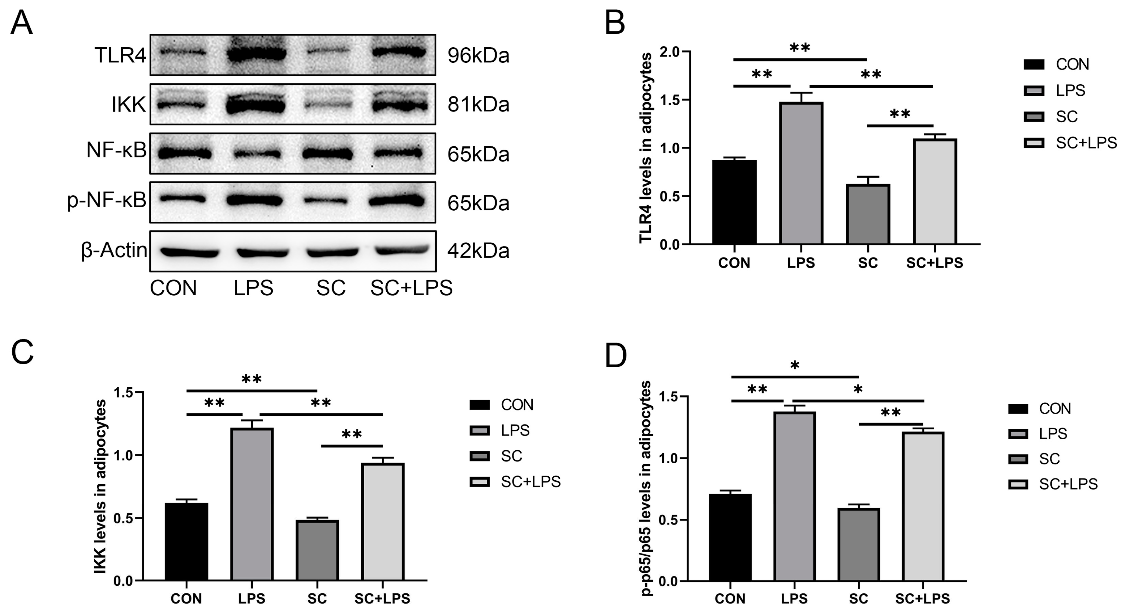 Preprints 83589 g003