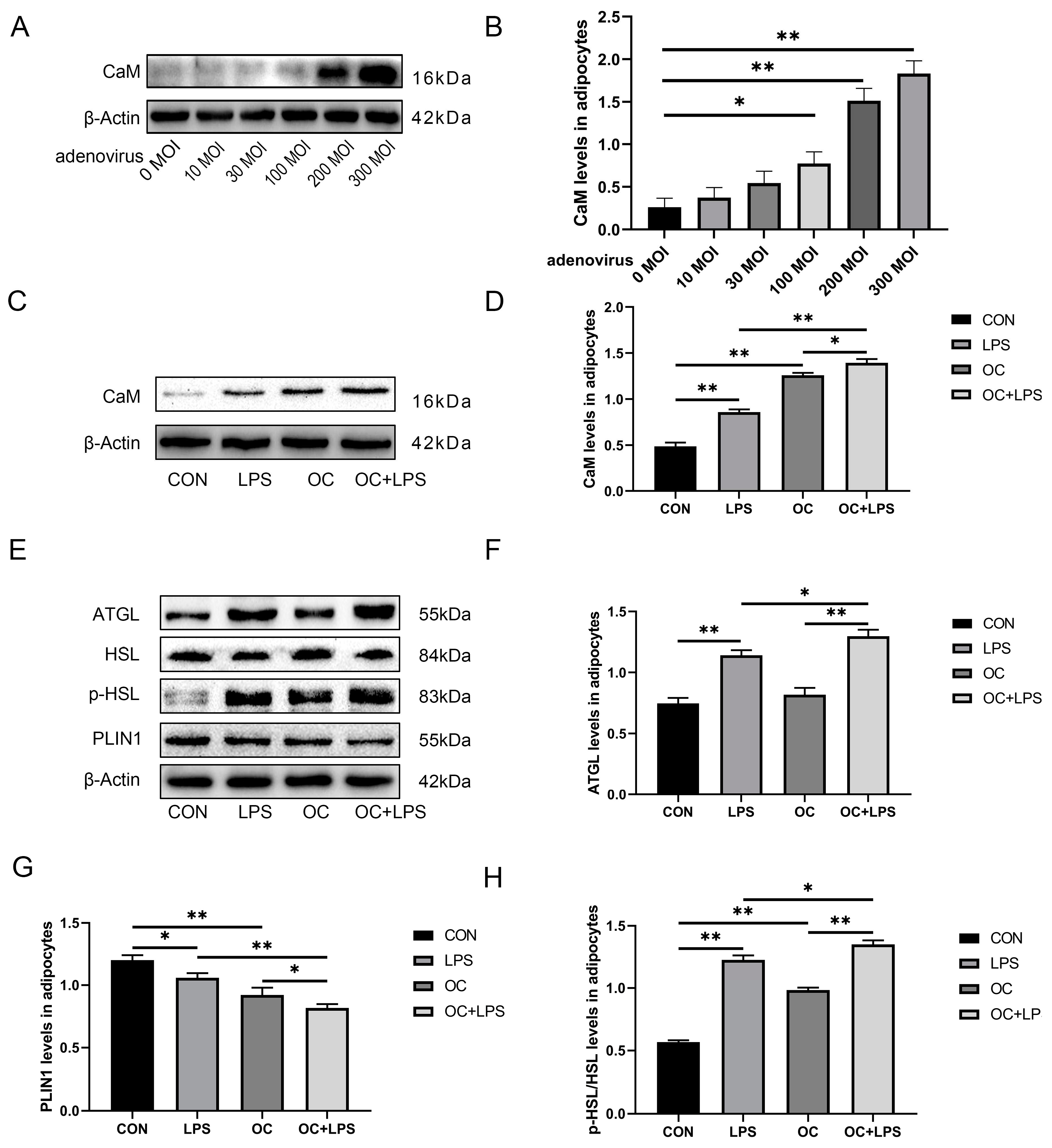 Preprints 83589 g004