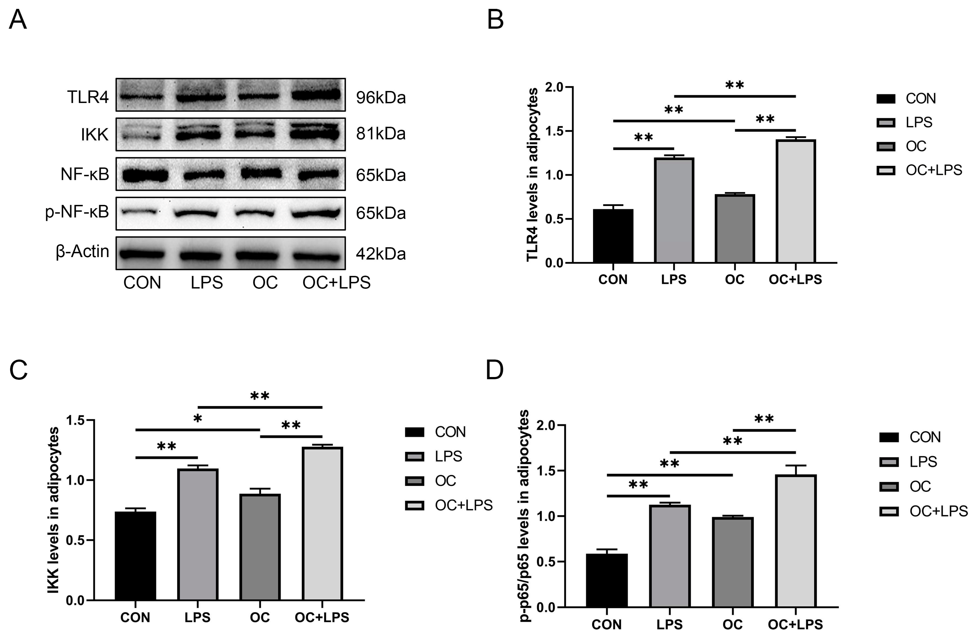 Preprints 83589 g005