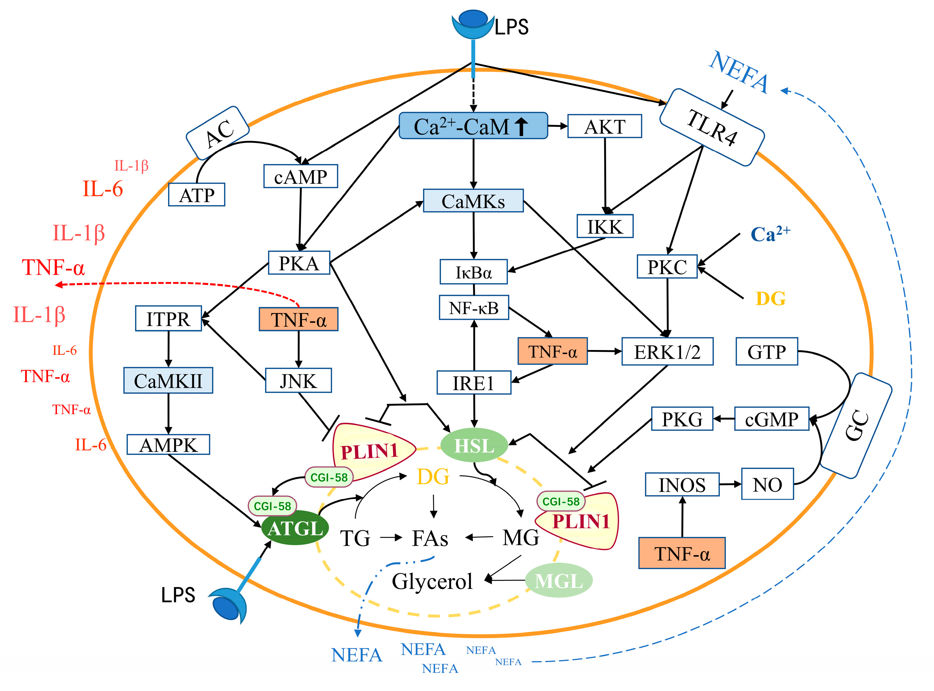 Preprints 83589 g006