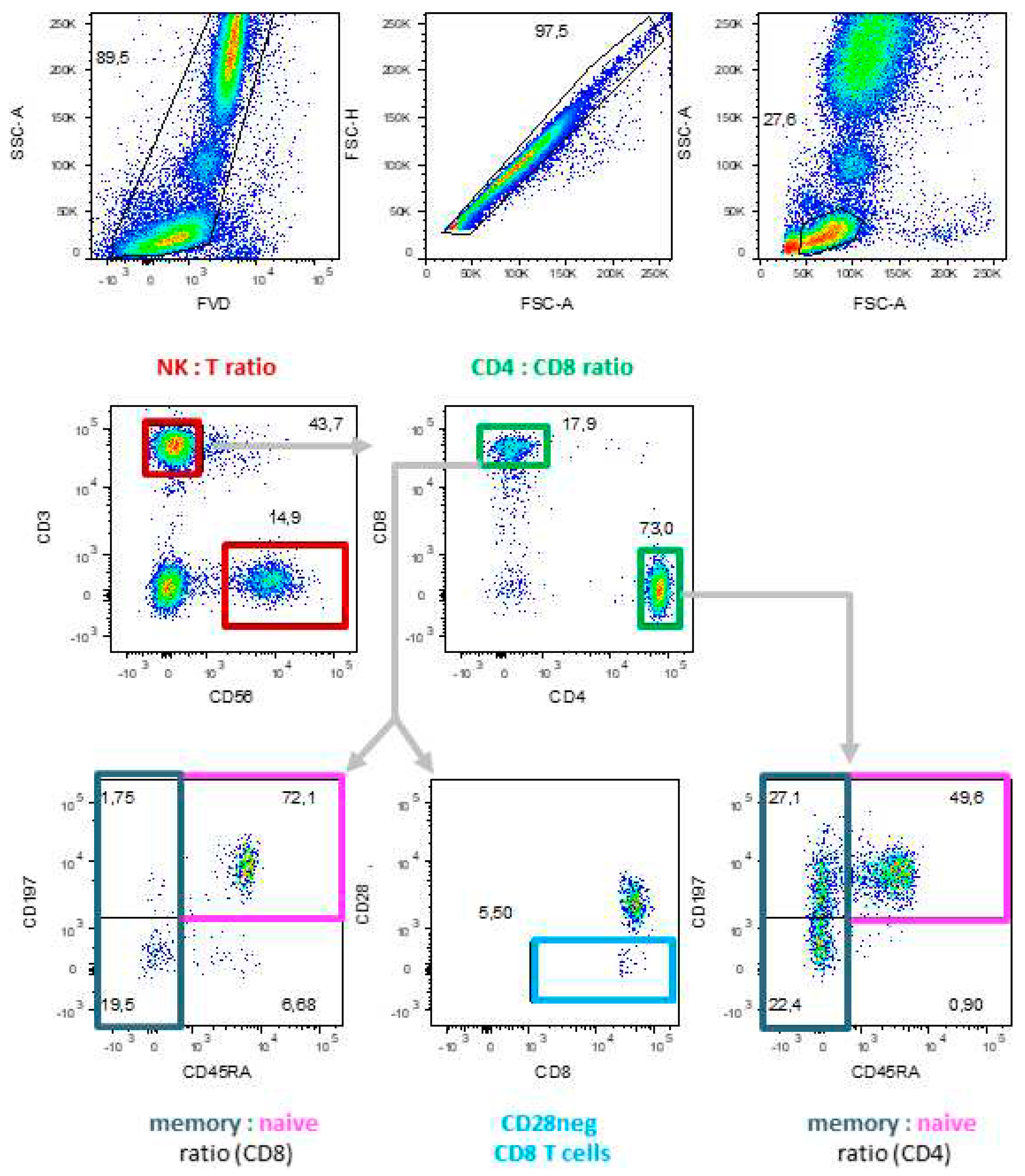 Preprints 81527 g006