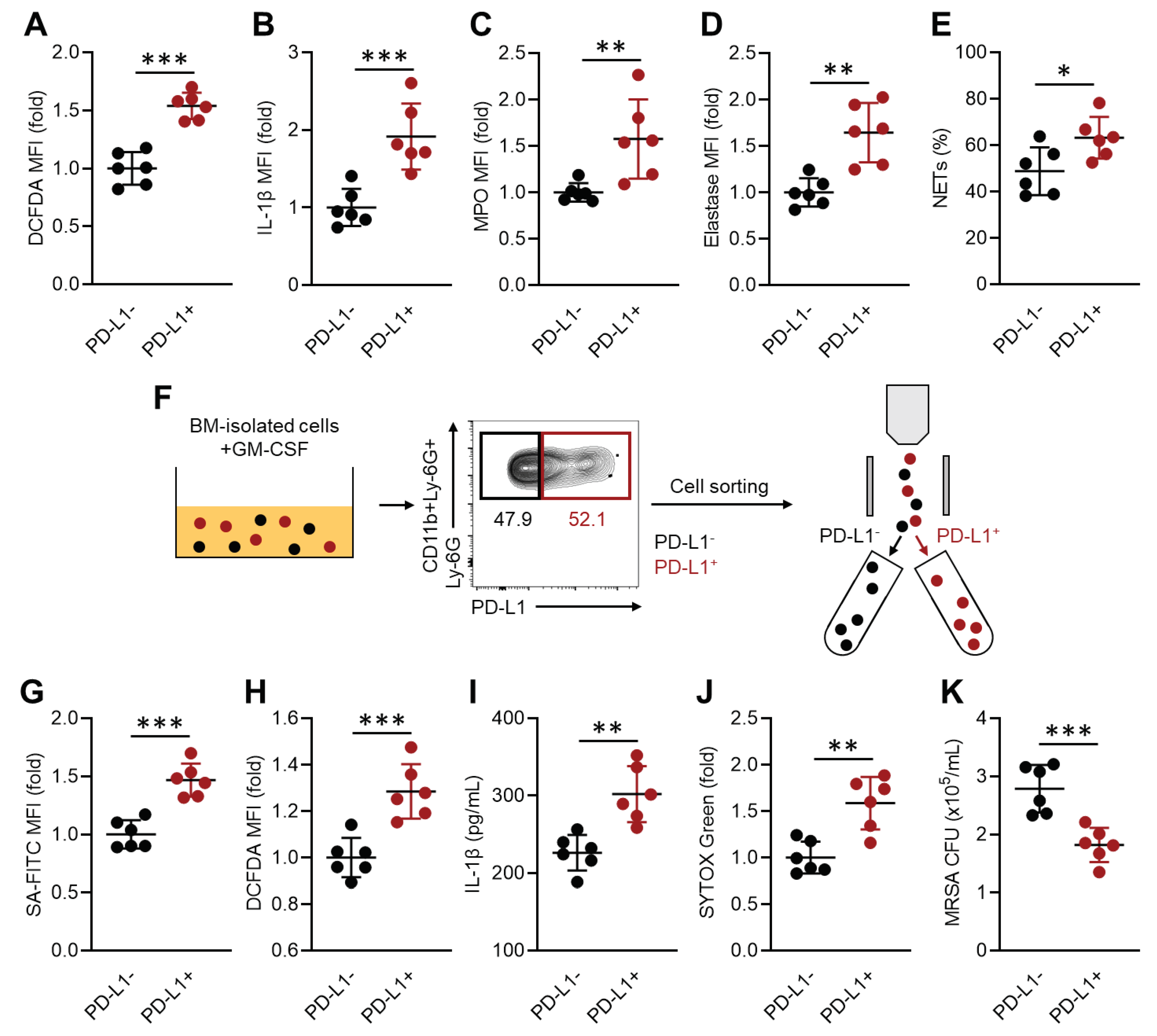 Preprints 102544 g002