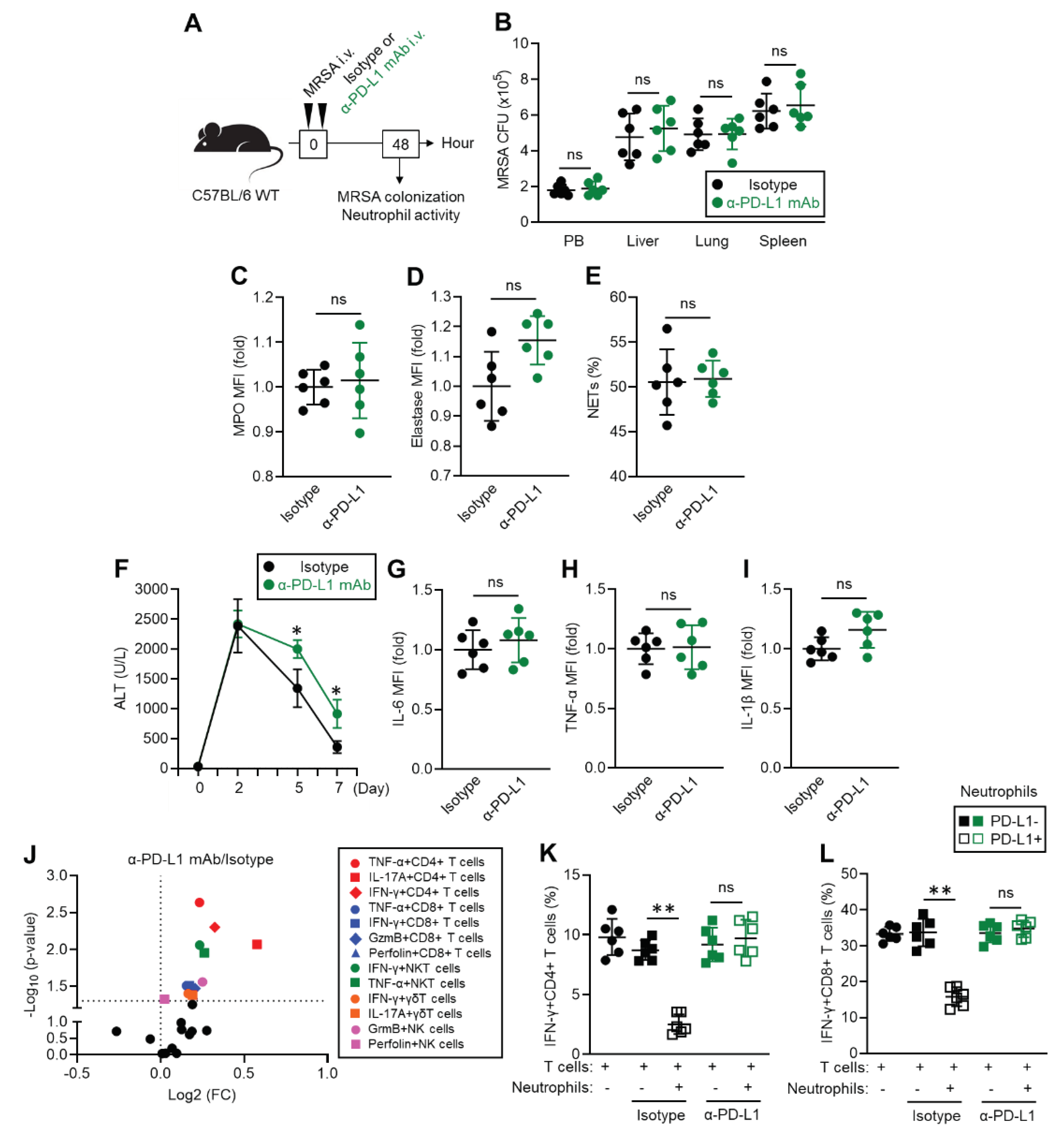 Preprints 102544 g004