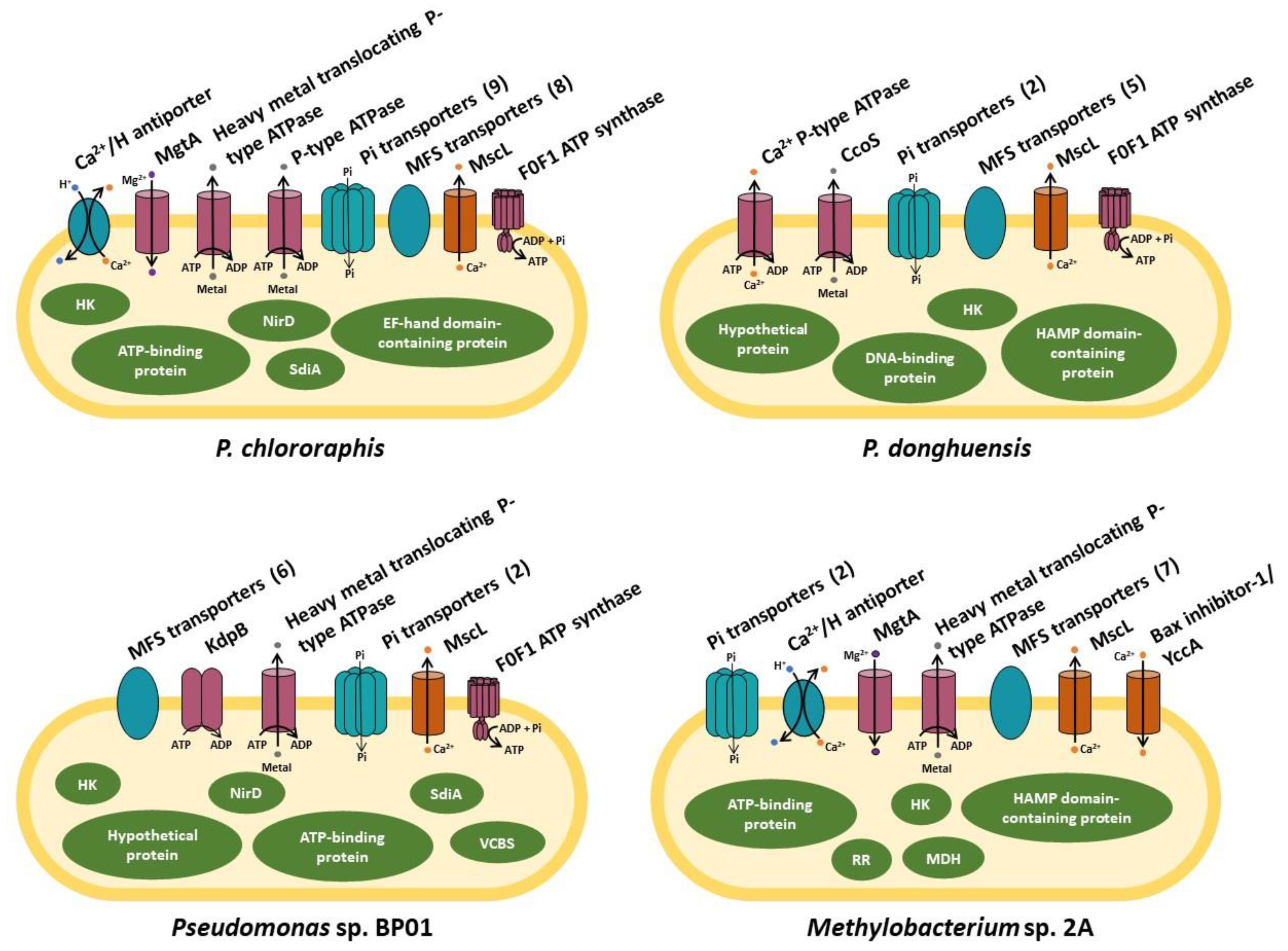 Preprints 84477 g002