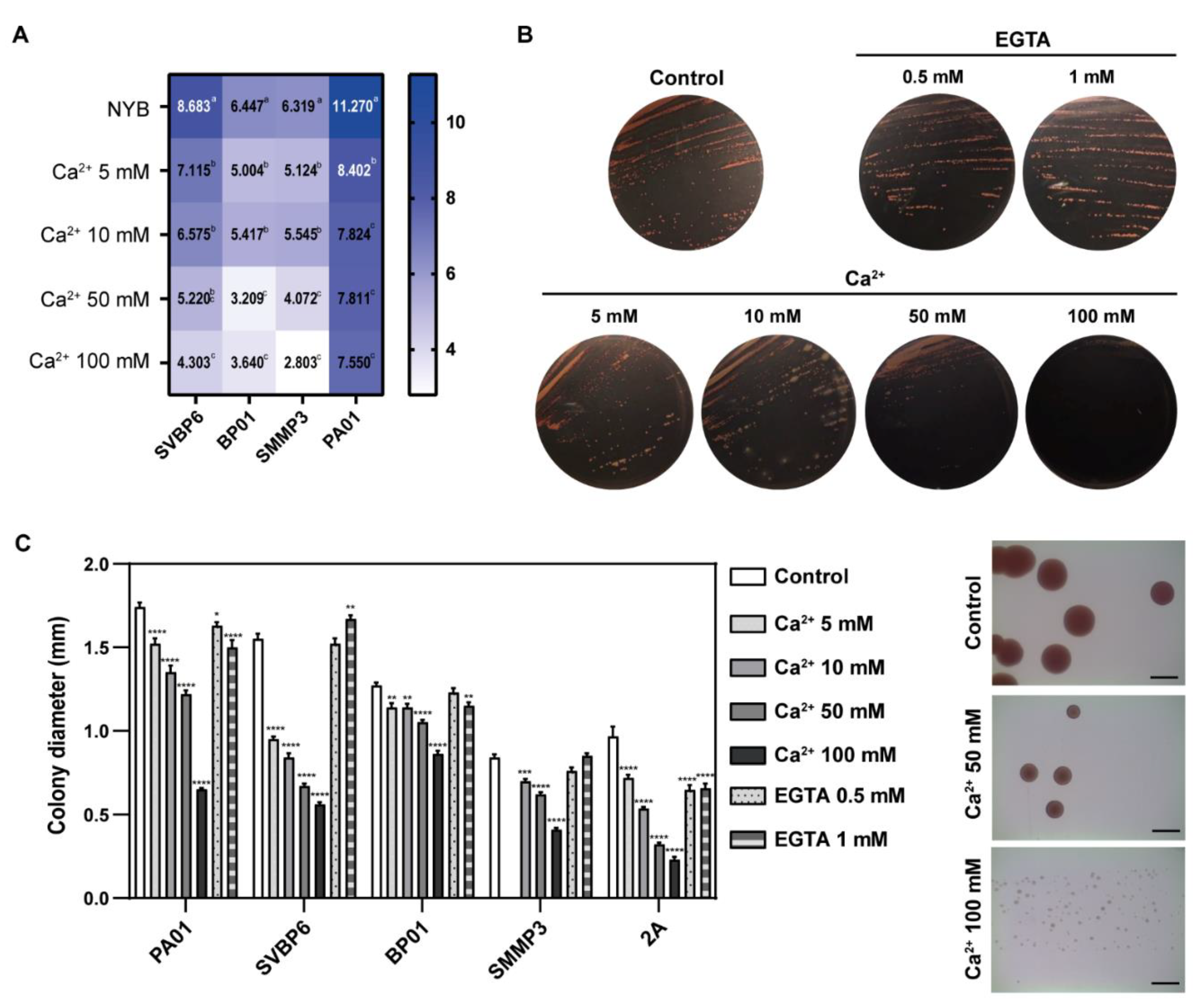 Preprints 84477 g003