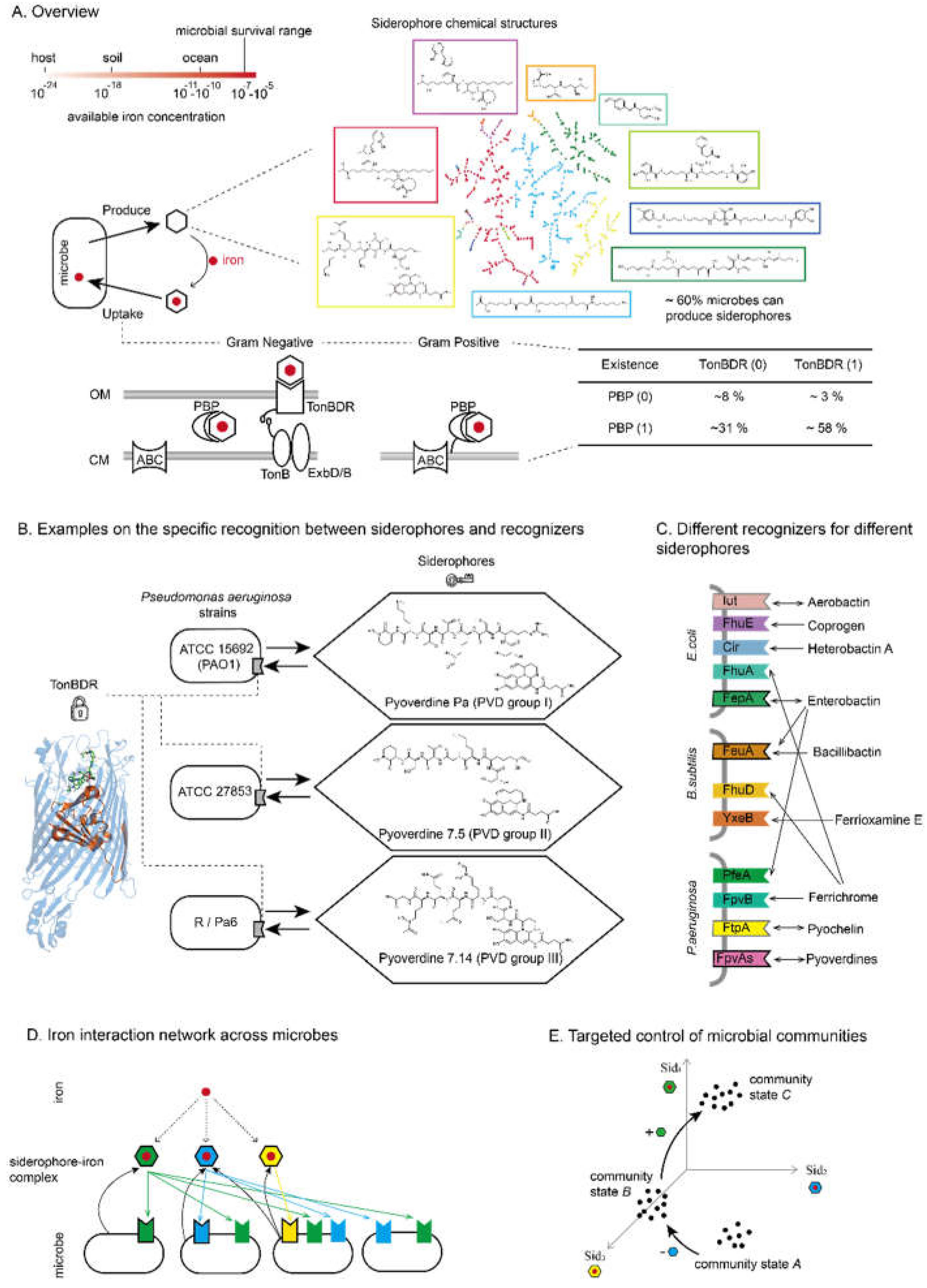 Preprints 111740 g001