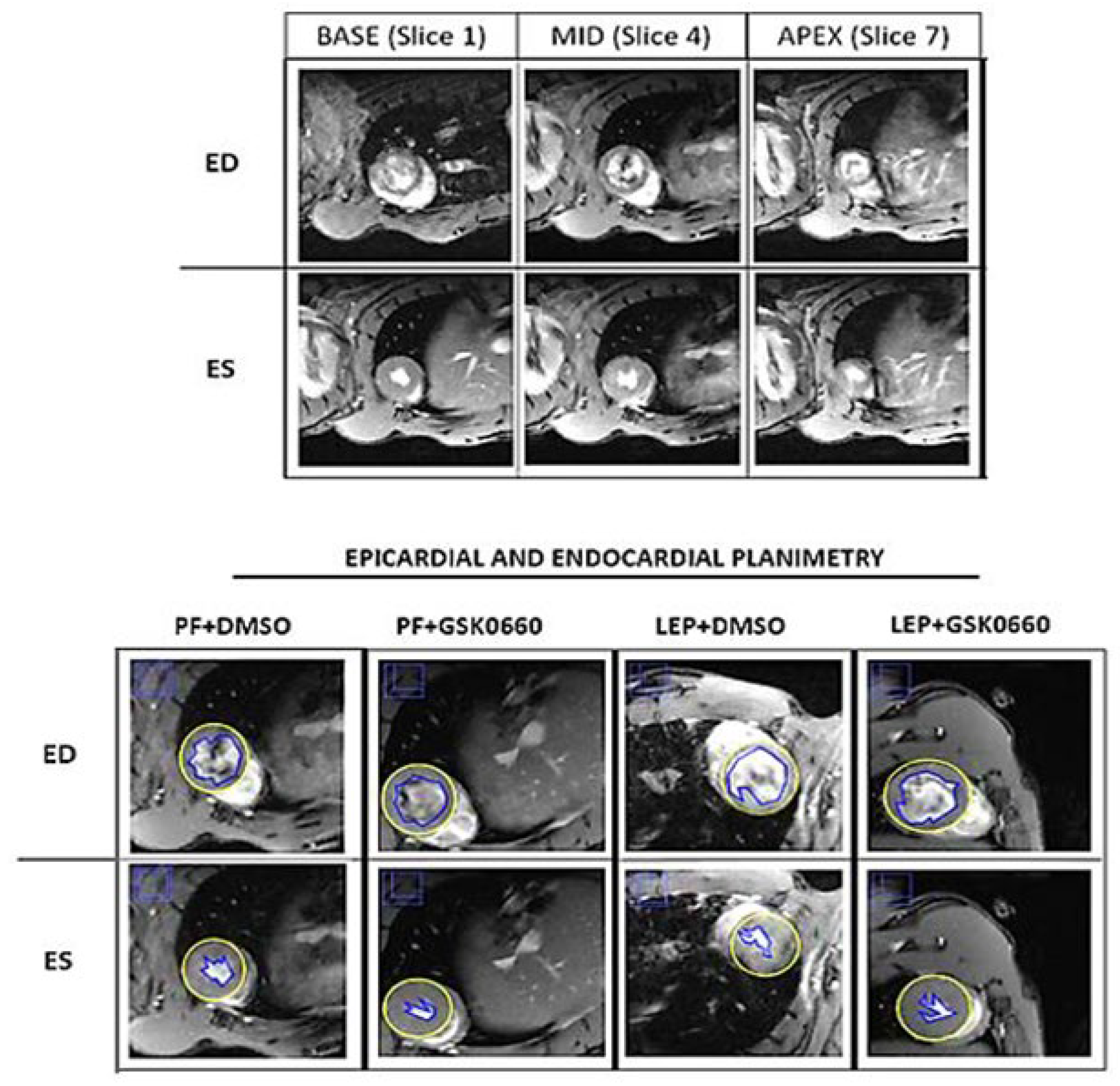 Preprints 110187 g001