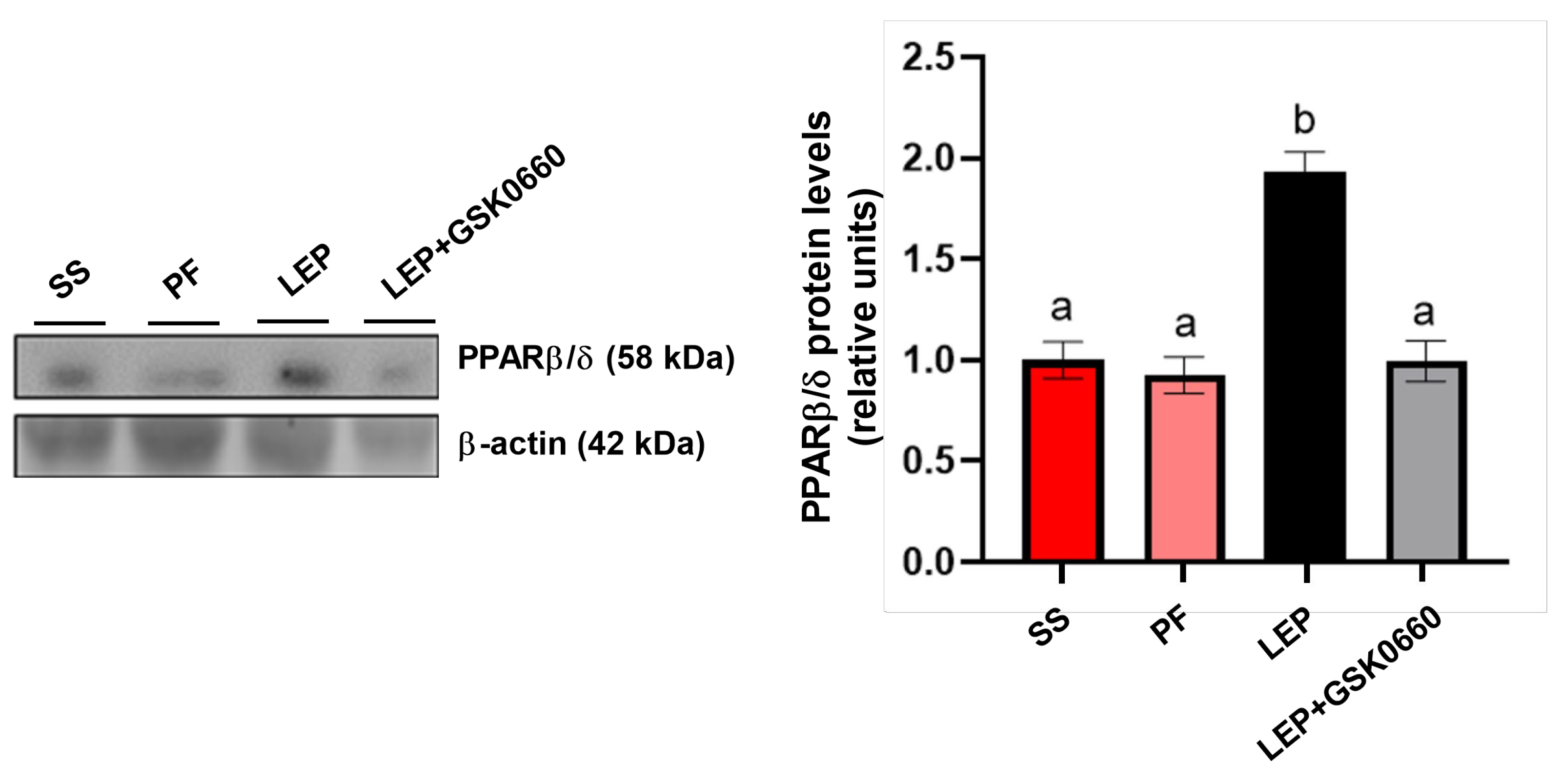 Preprints 110187 g002