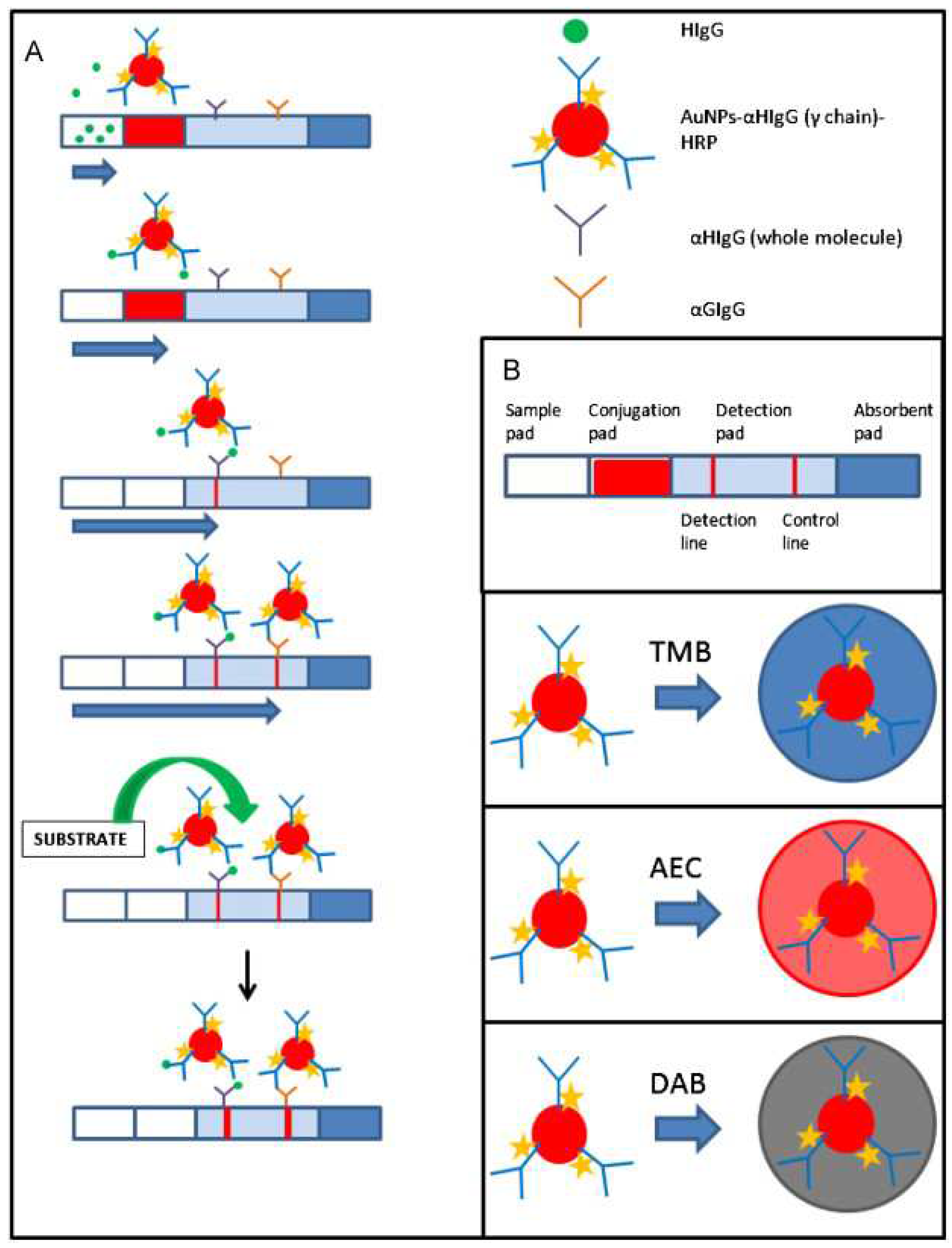 Preprints 72833 g002