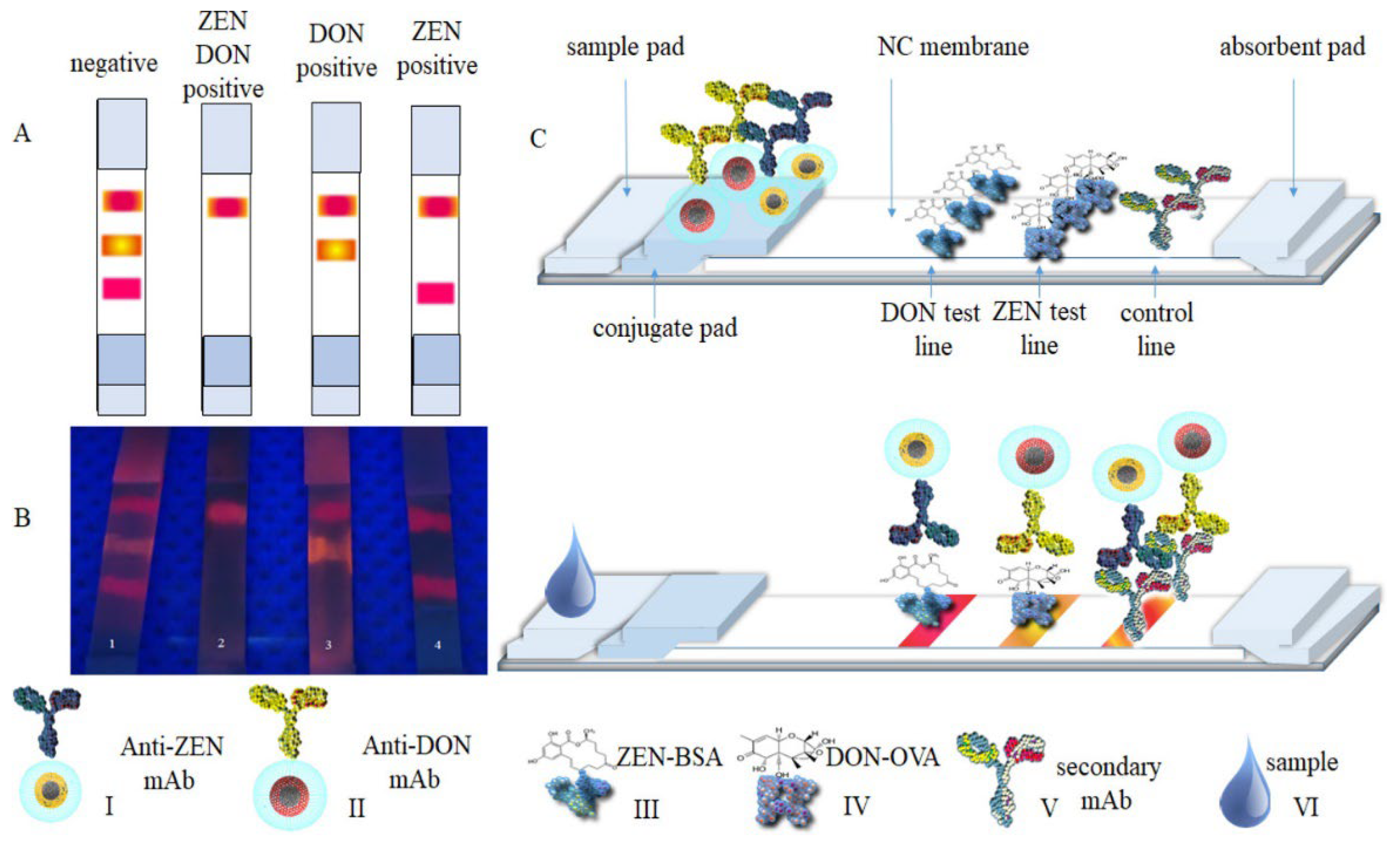 Preprints 72833 g004