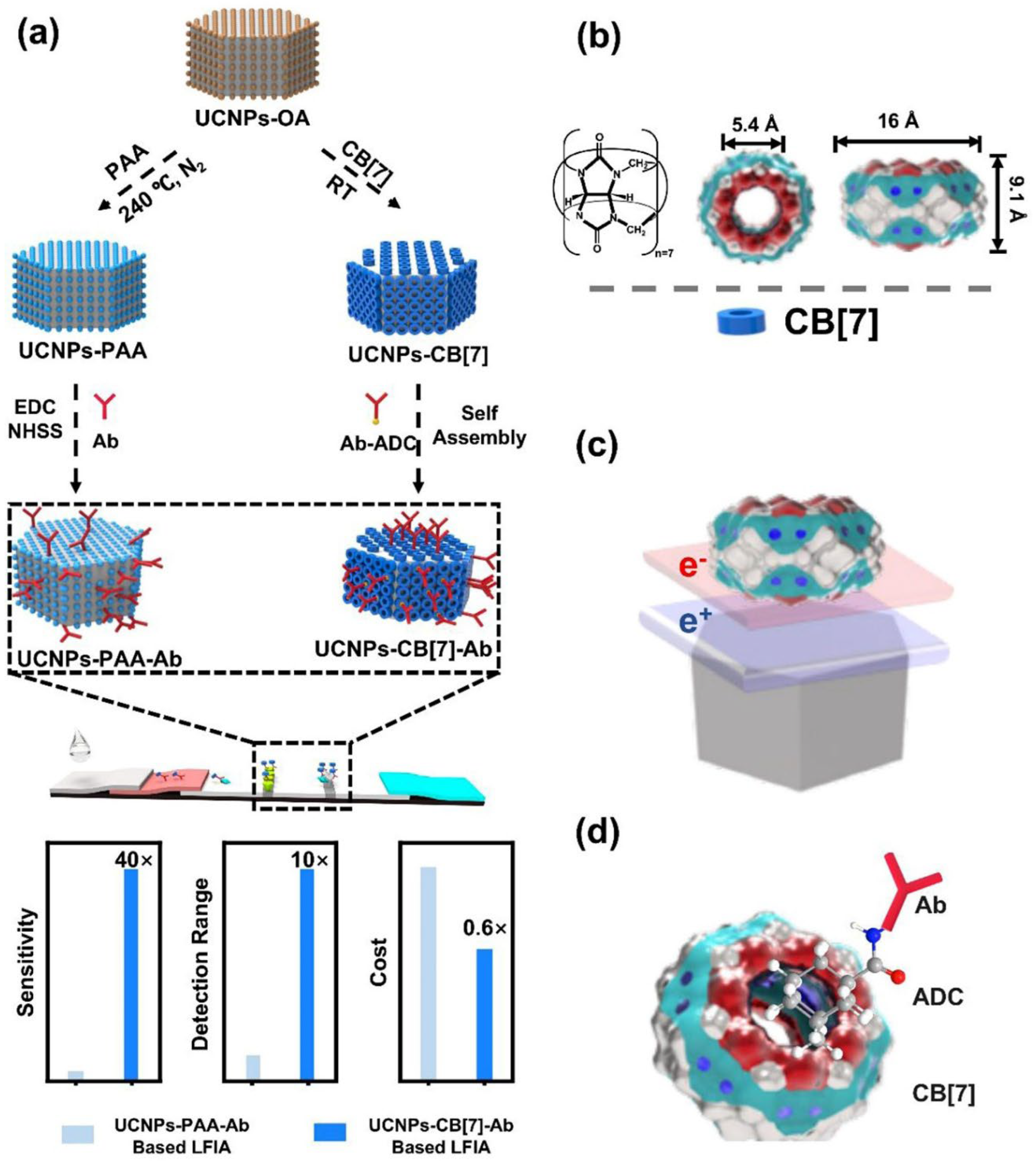 Preprints 72833 g007