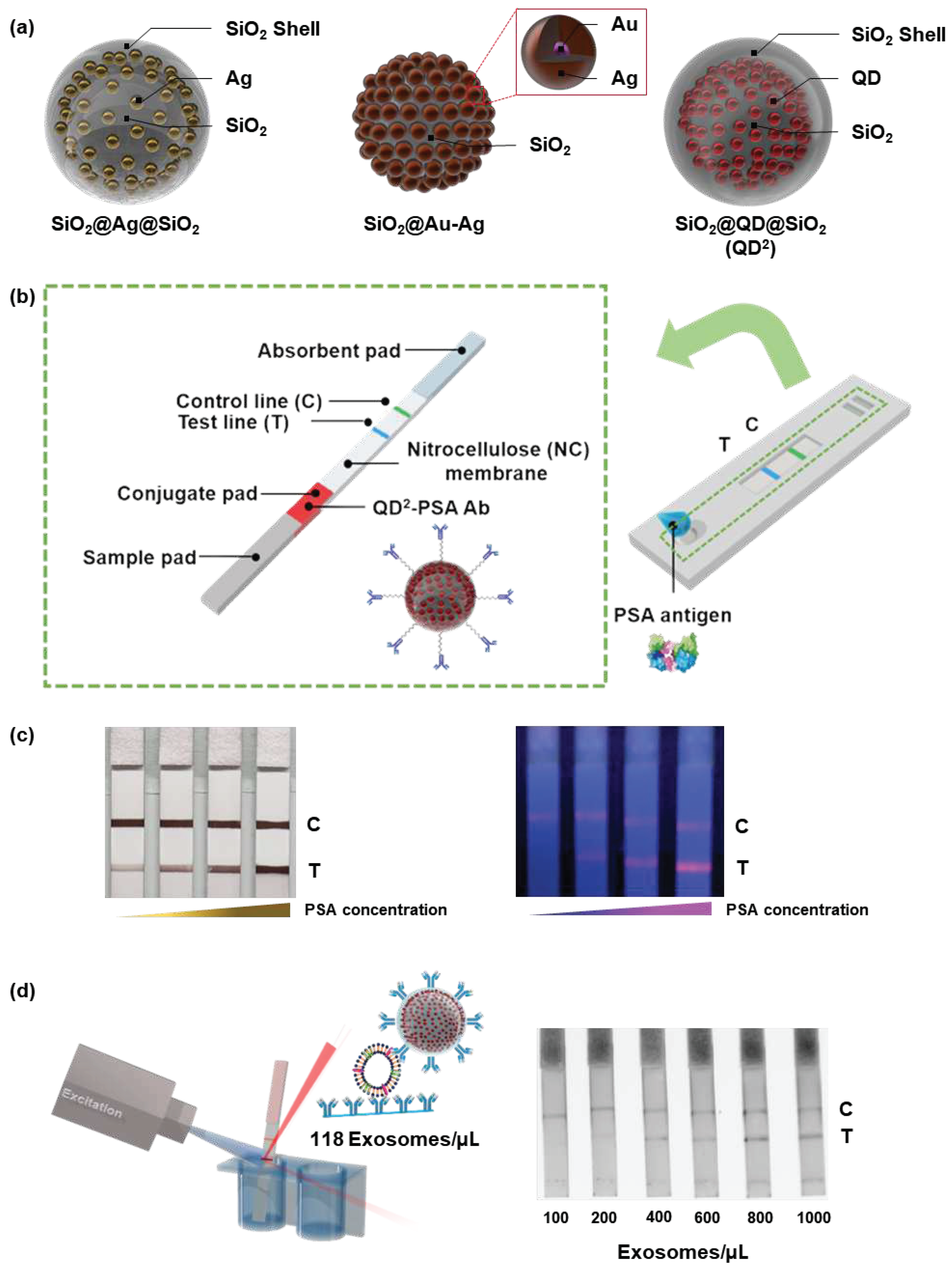 Preprints 72833 g008