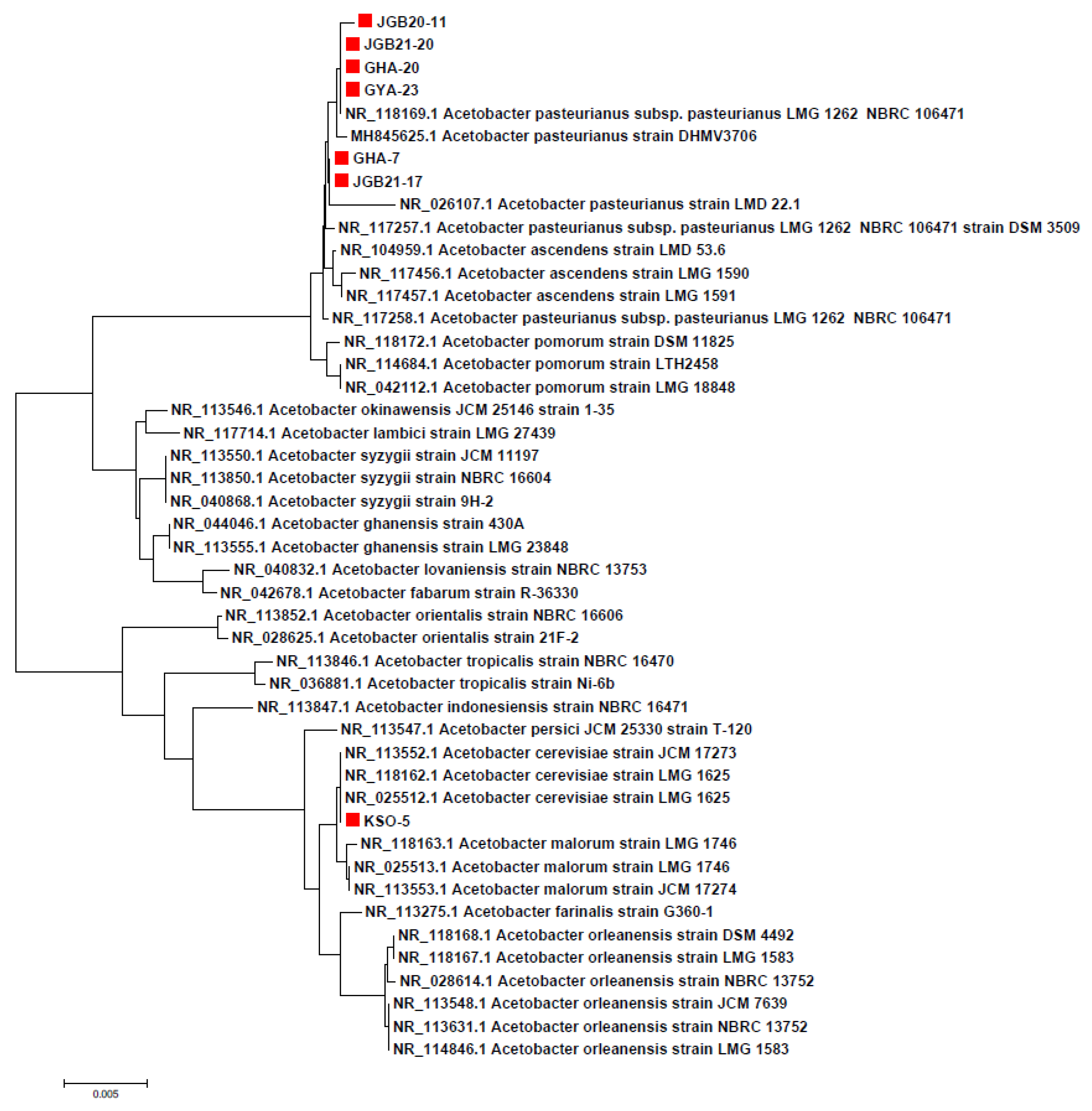 Preprints 70205 g001