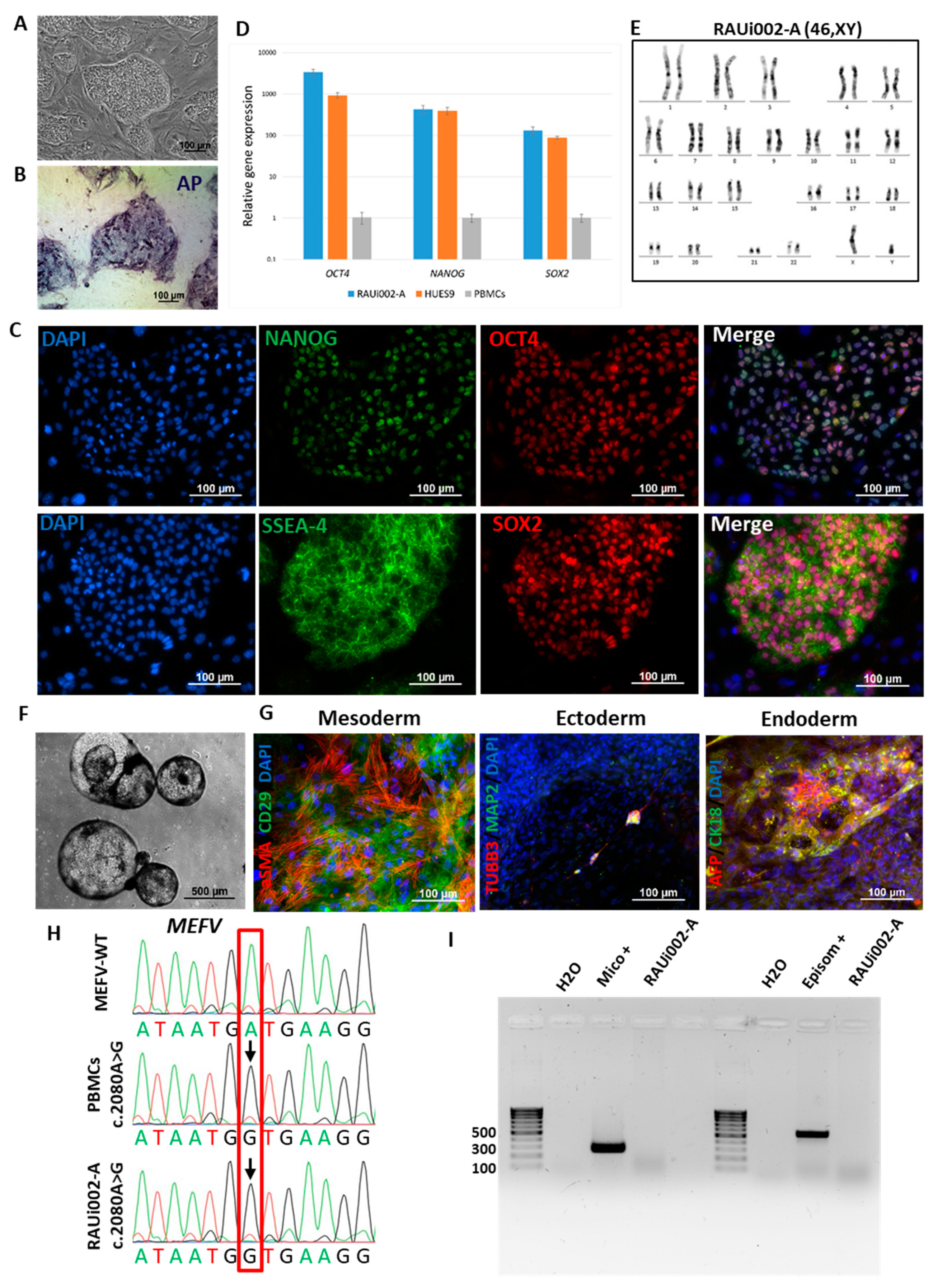 Preprints 101747 g001