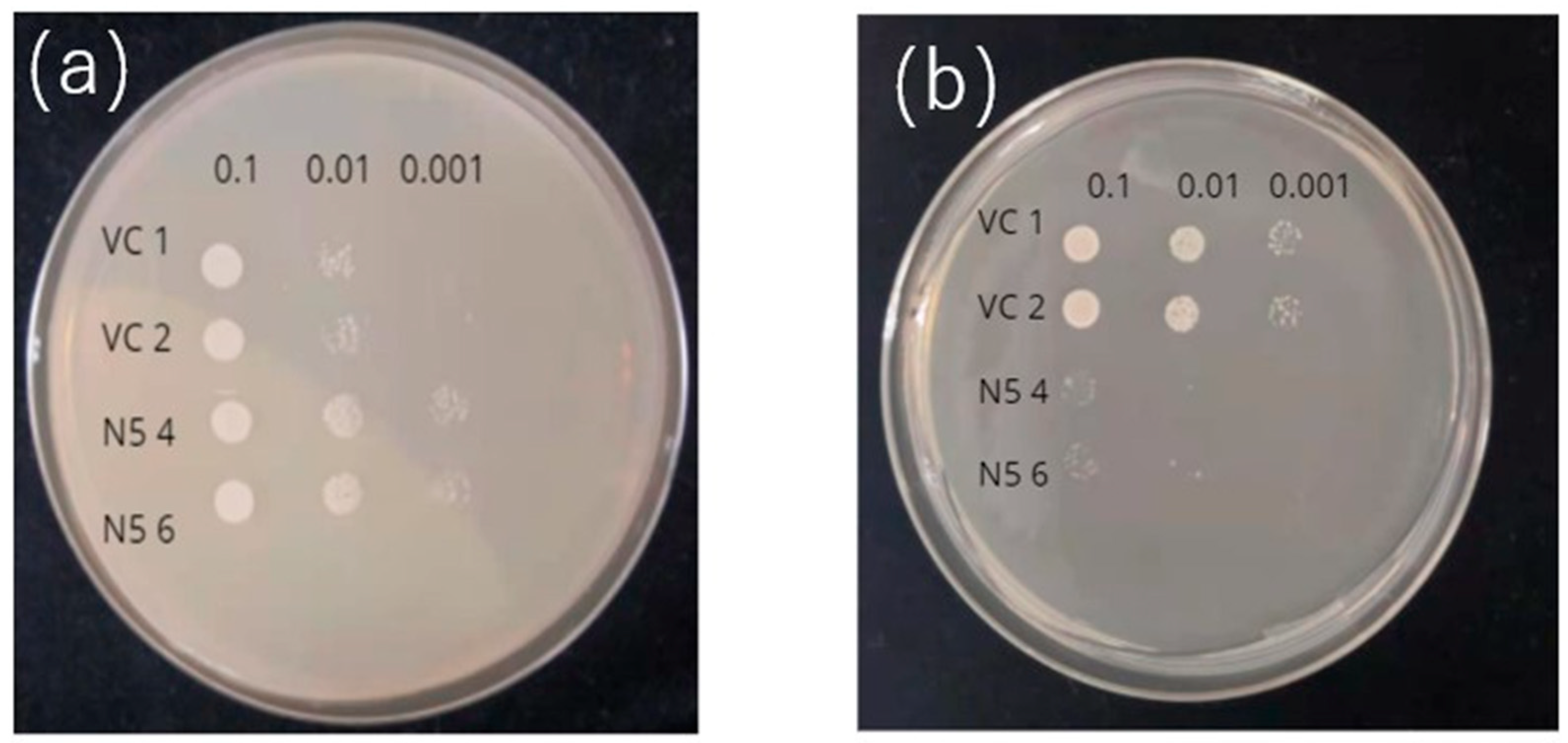 Preprints 89871 g001