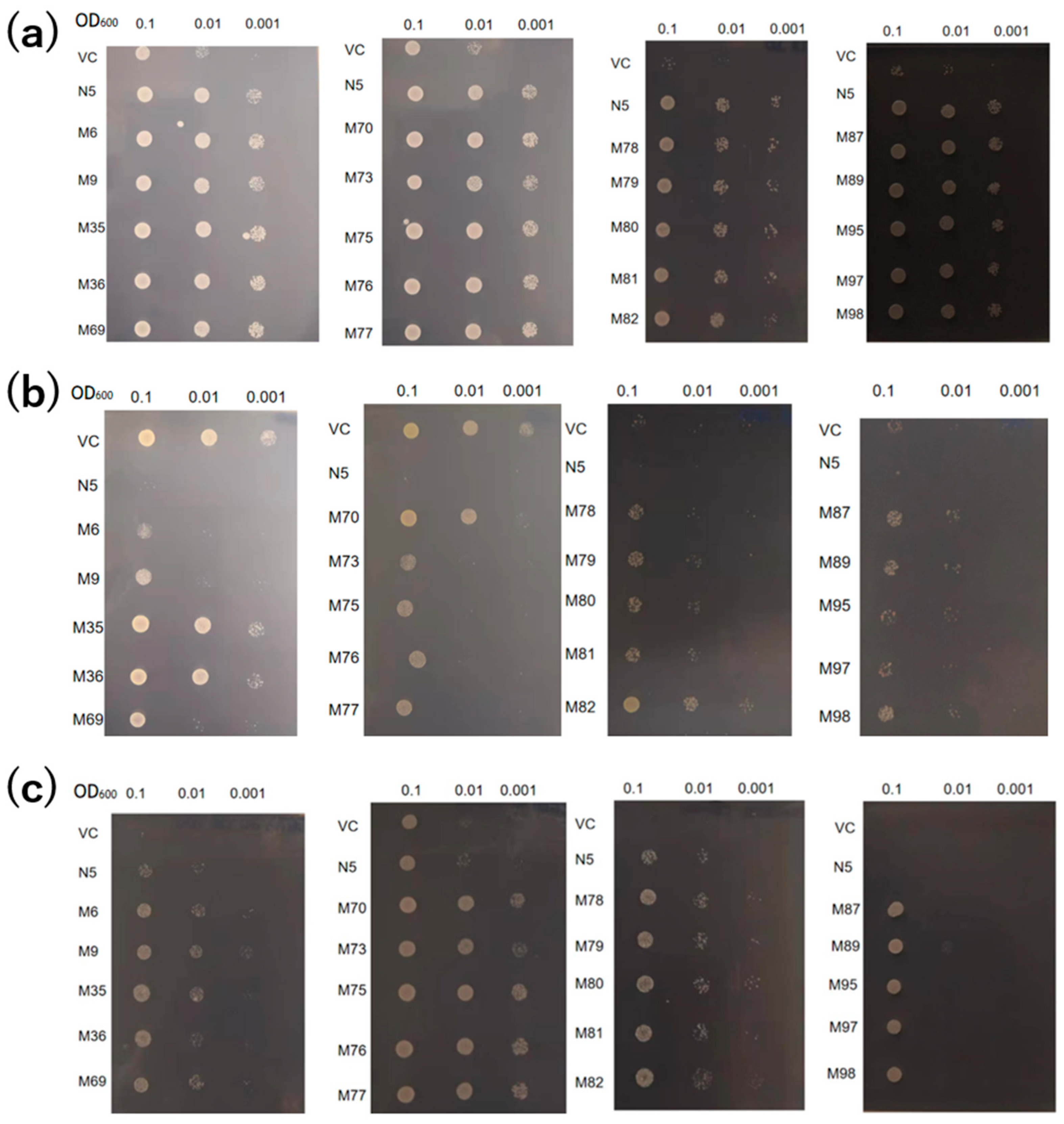 Preprints 89871 g002