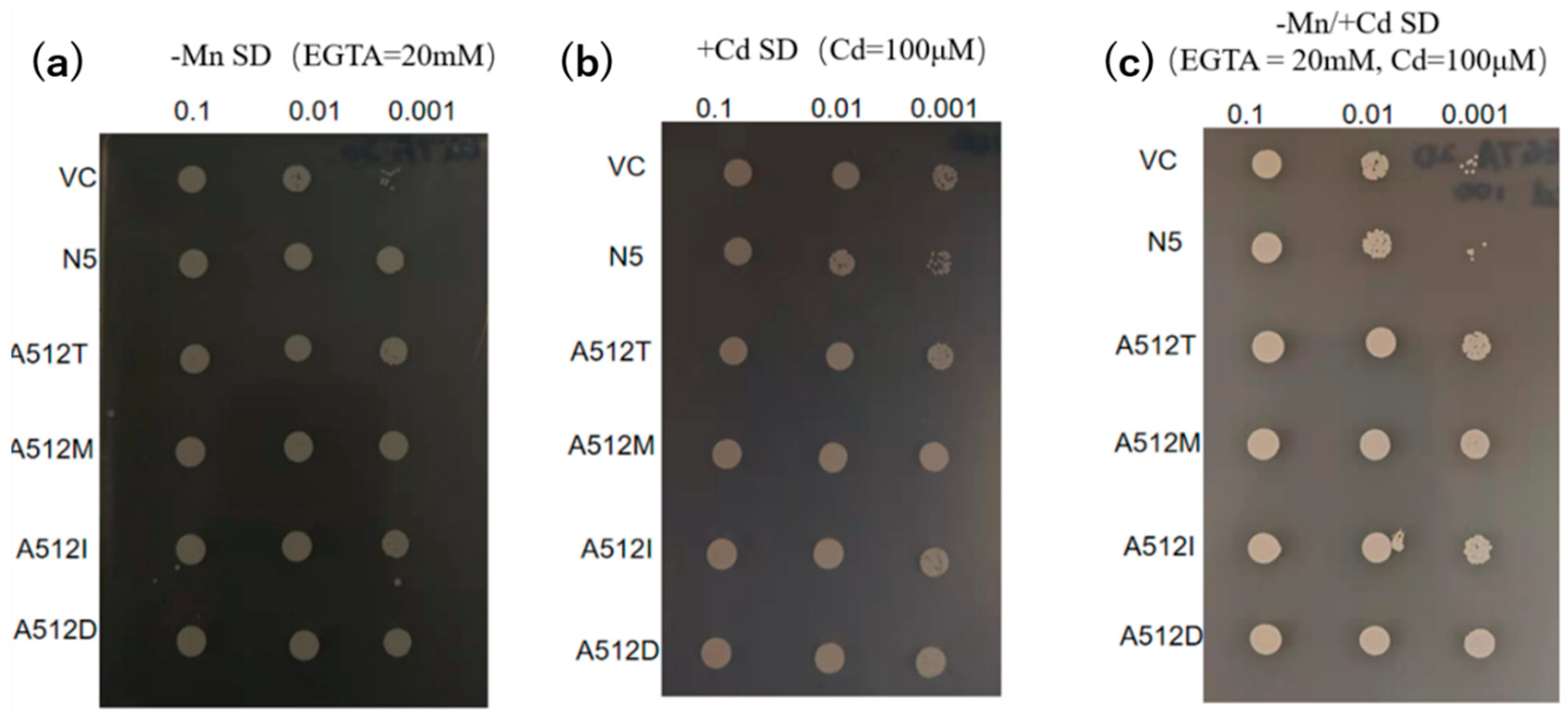 Preprints 89871 g005