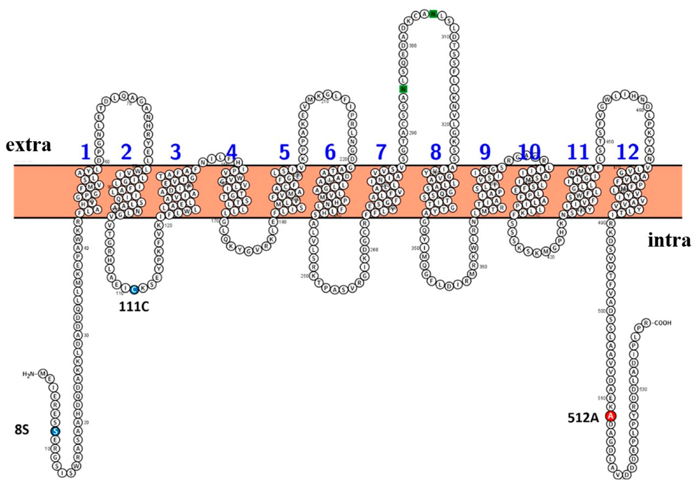 Preprints 89871 g006