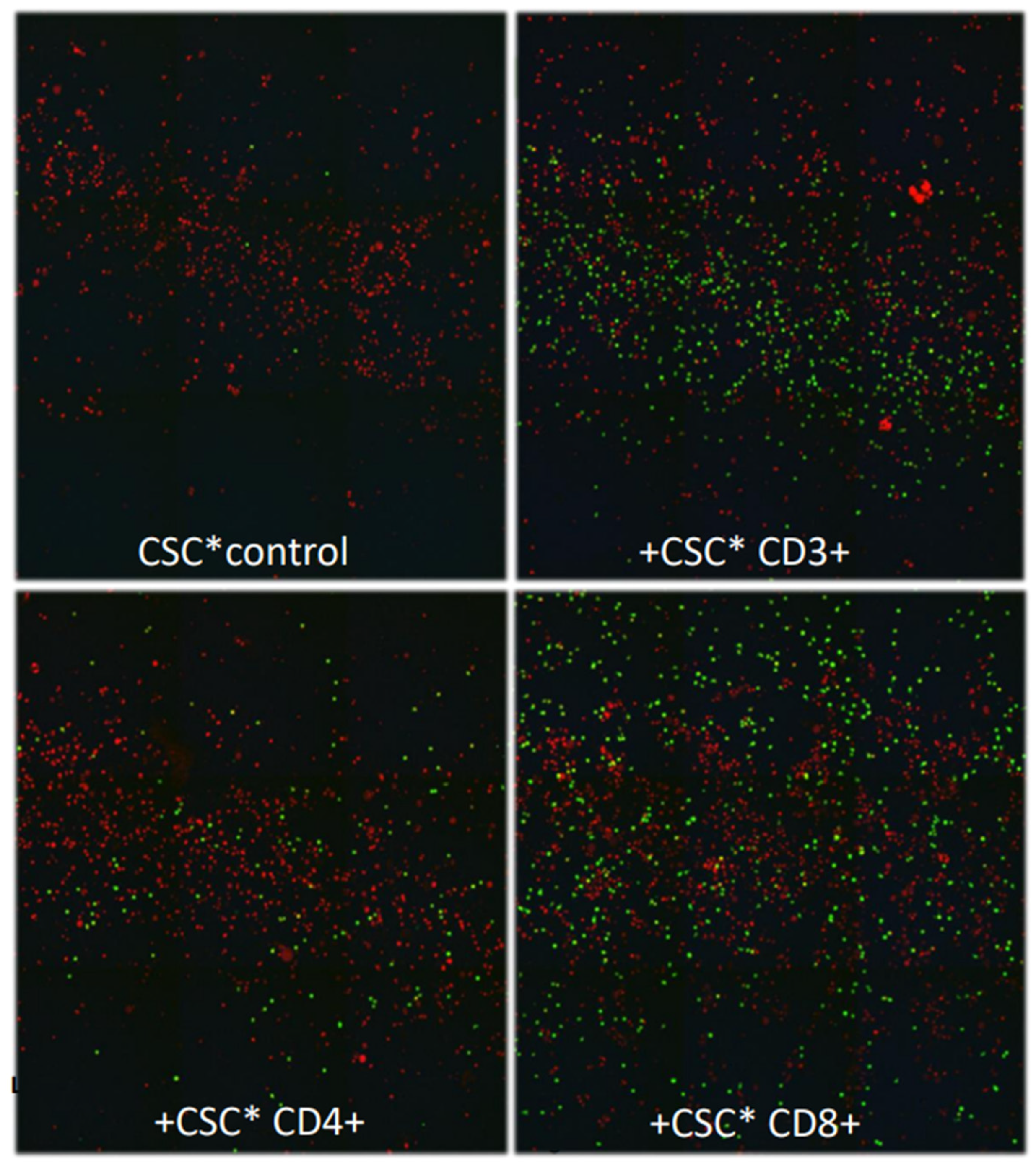 Preprints 74822 g001