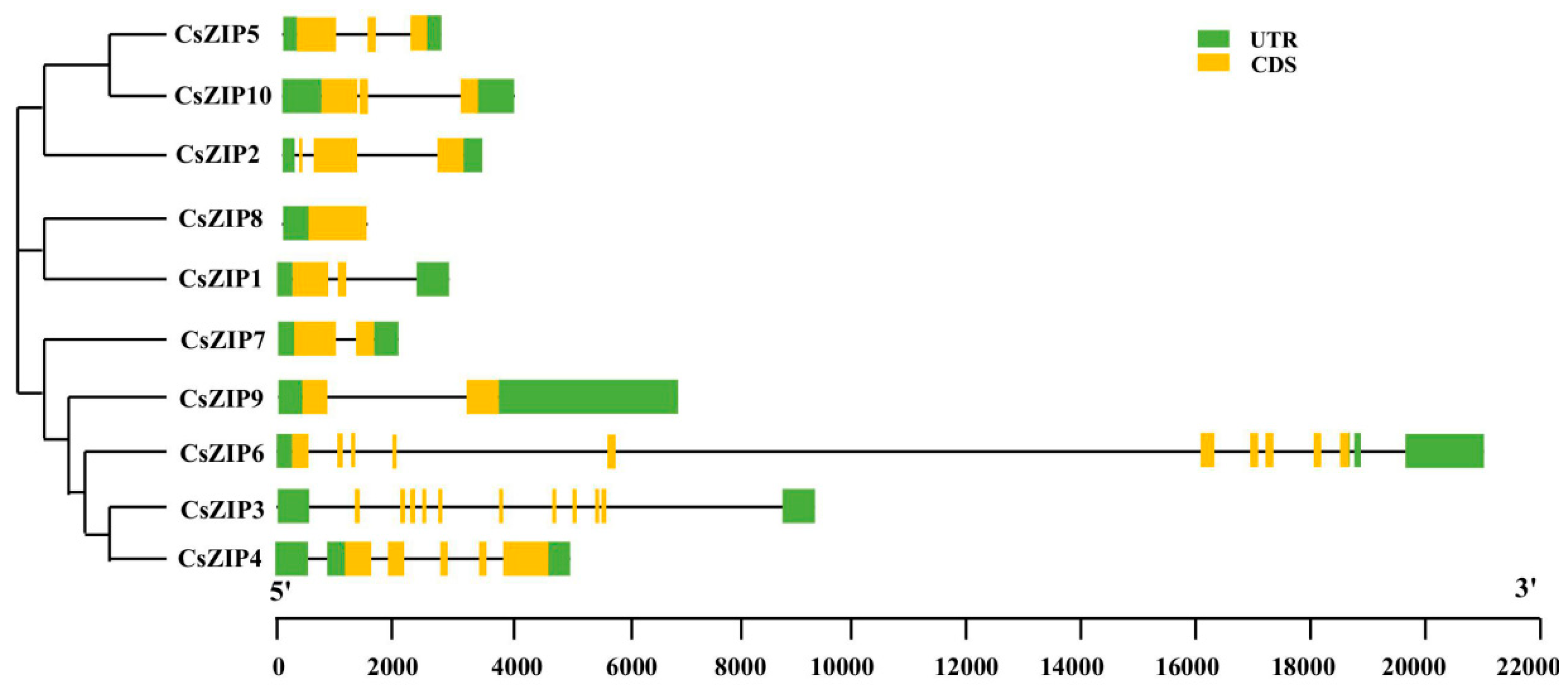 Preprints 95346 g001