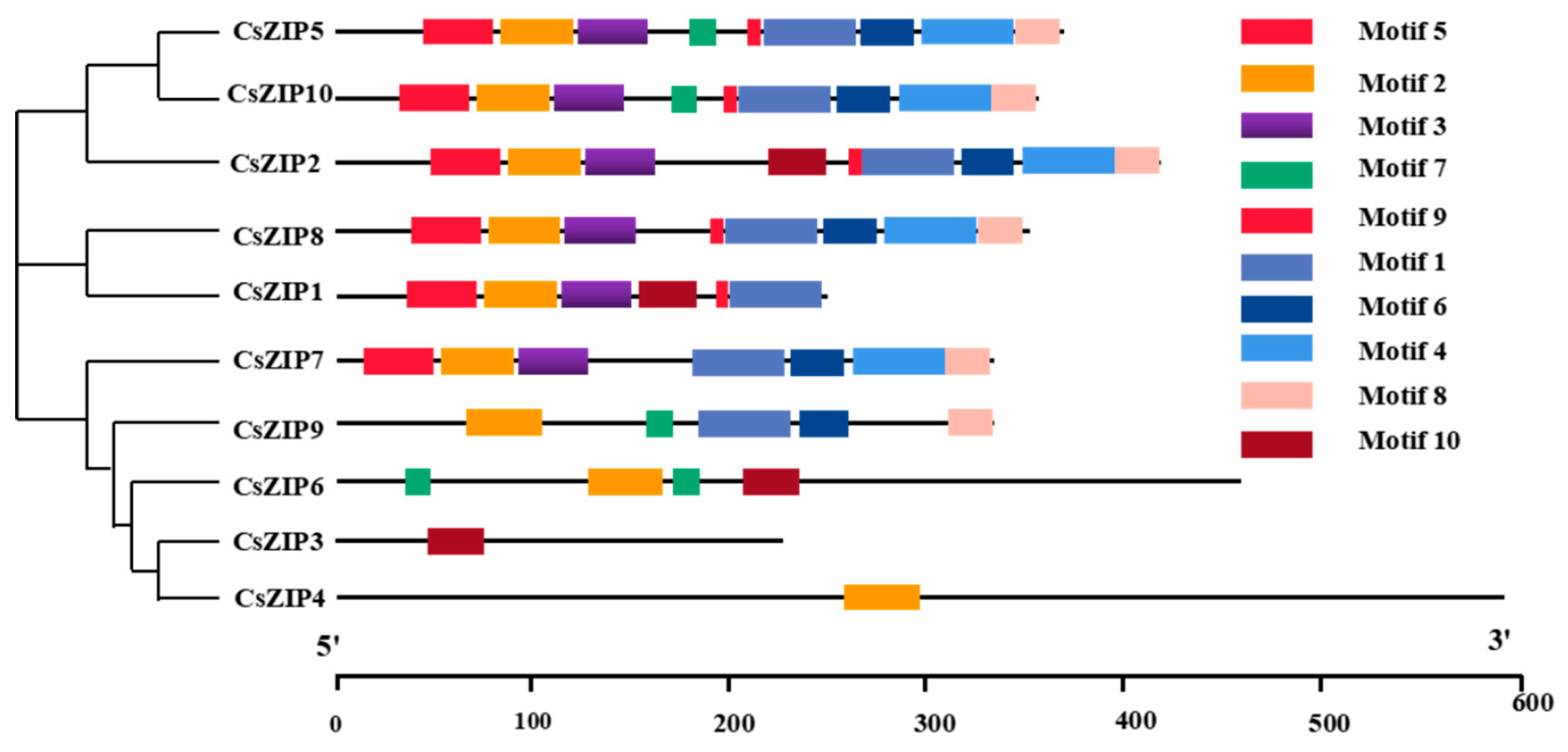 Preprints 95346 g002