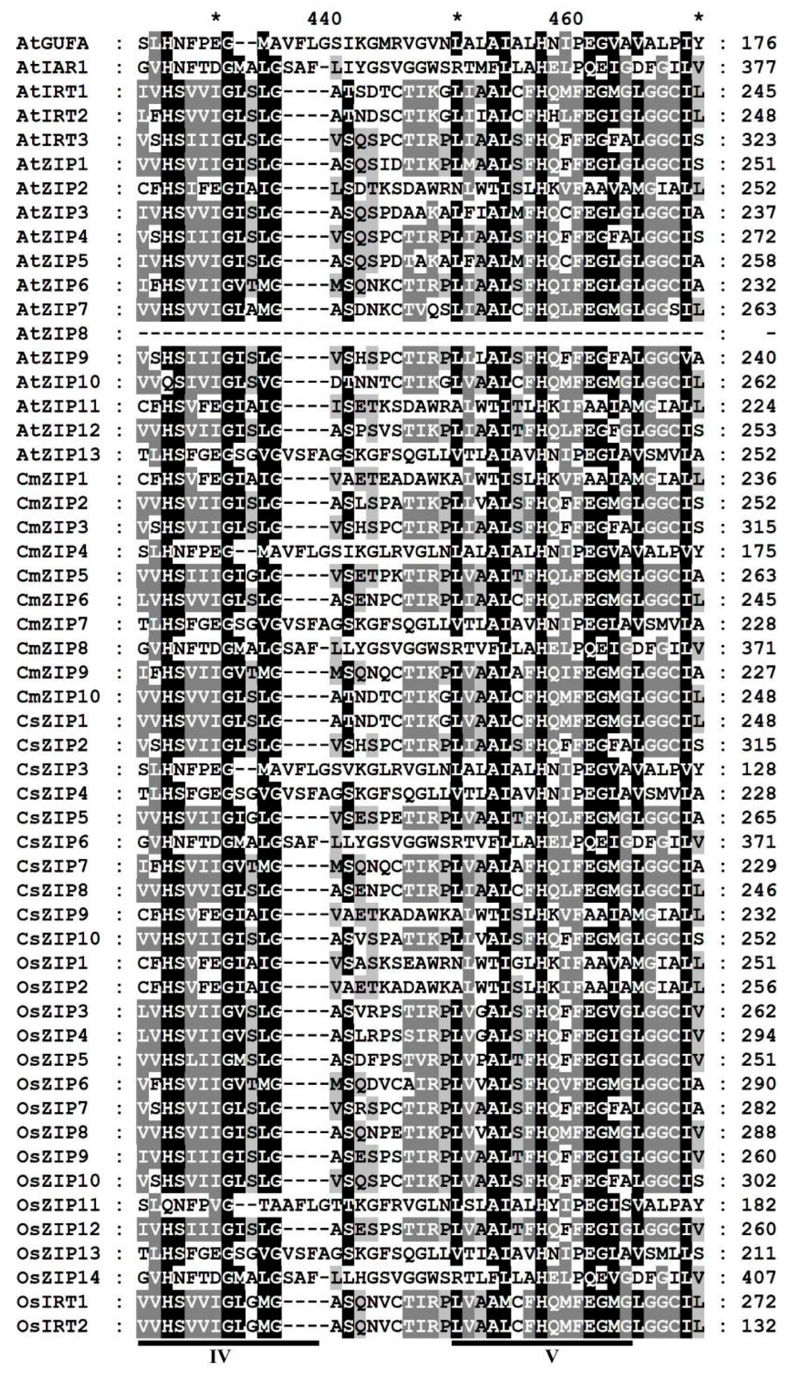 Preprints 95346 g003