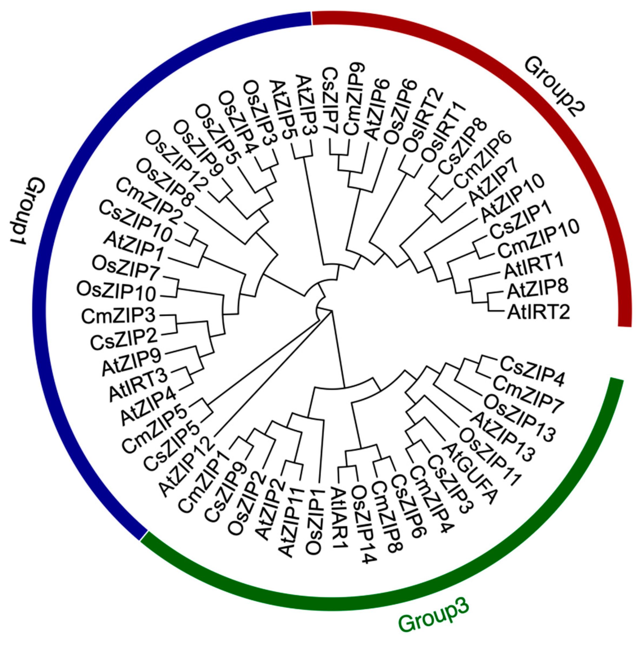 Preprints 95346 g004