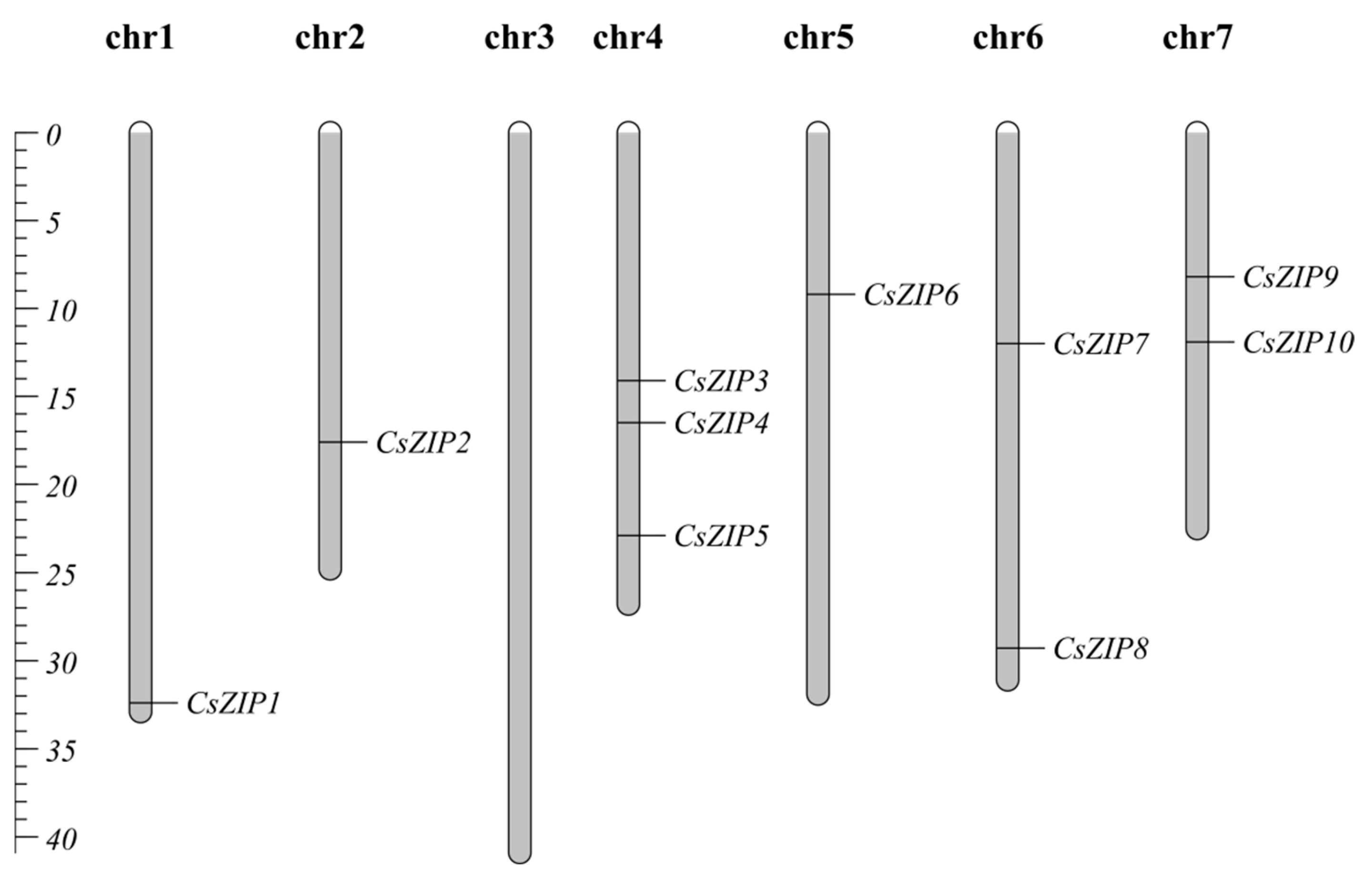 Preprints 95346 g005