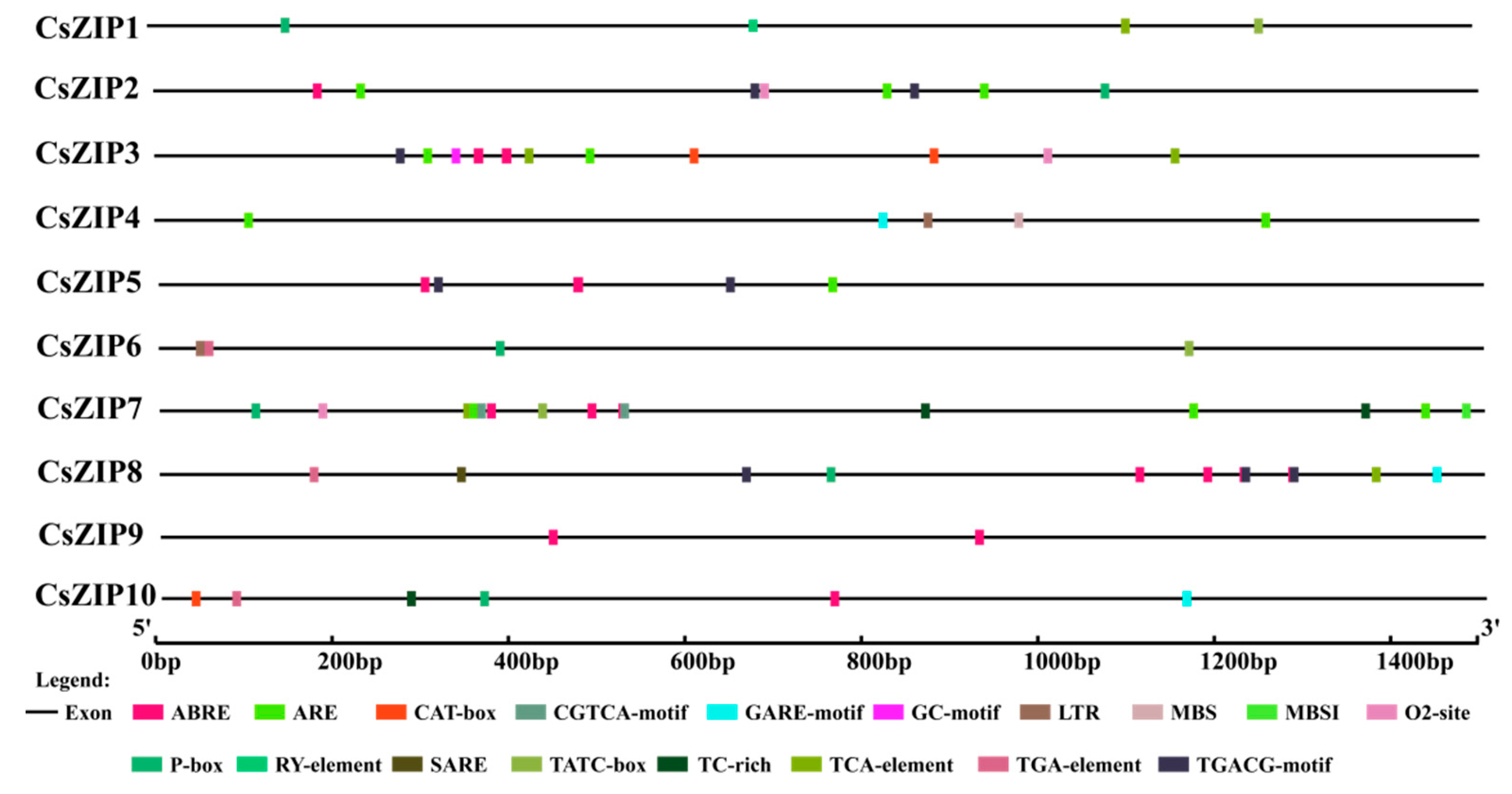 Preprints 95346 g007