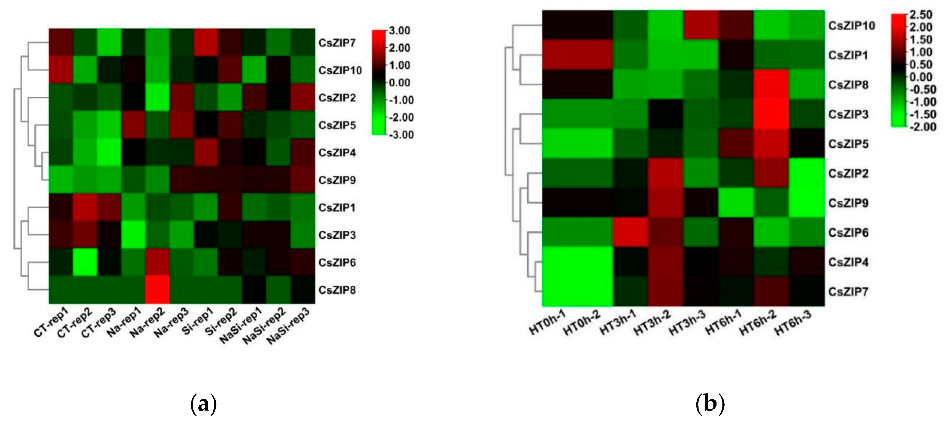 Preprints 95346 g009