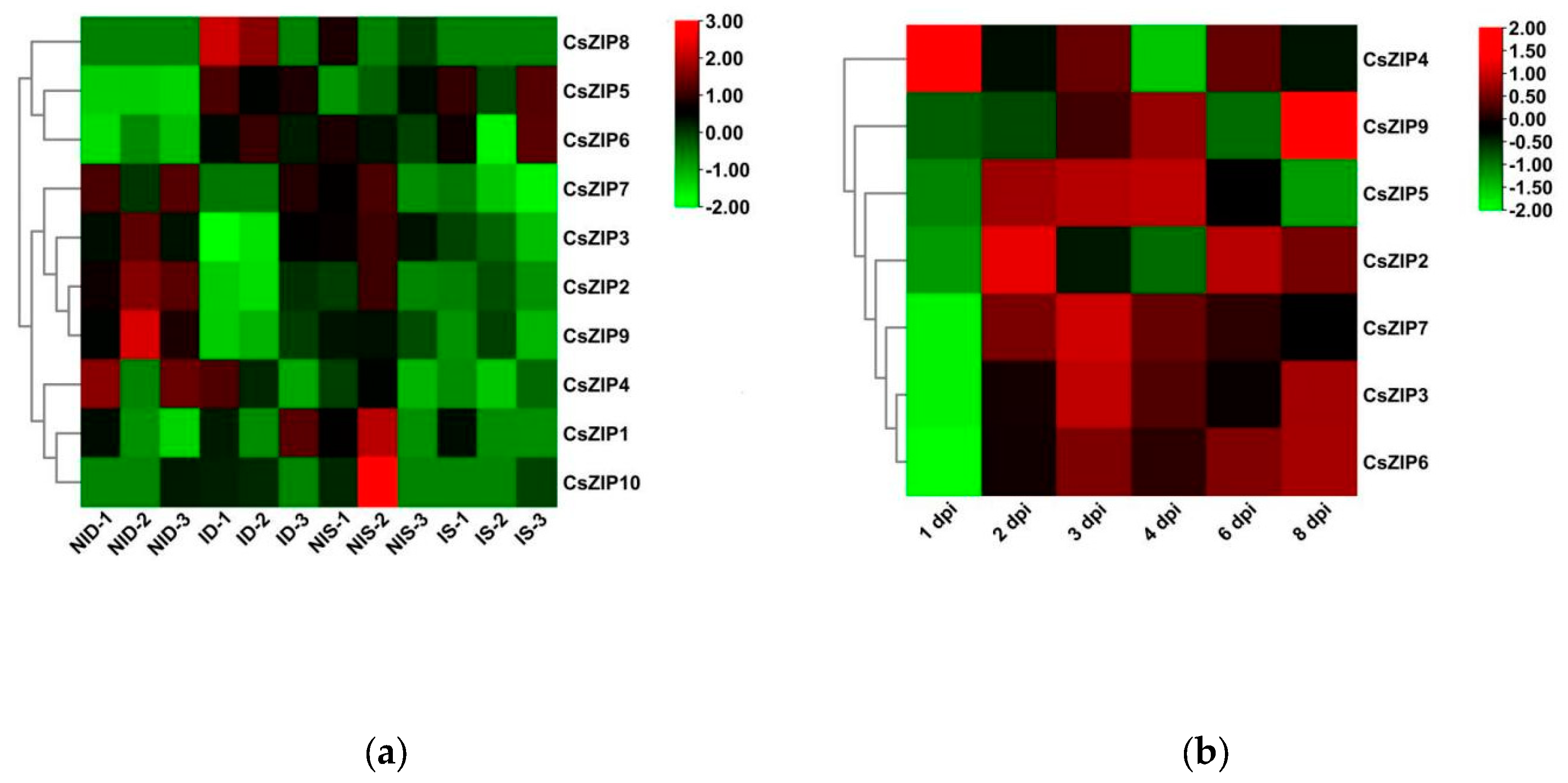 Preprints 95346 g010