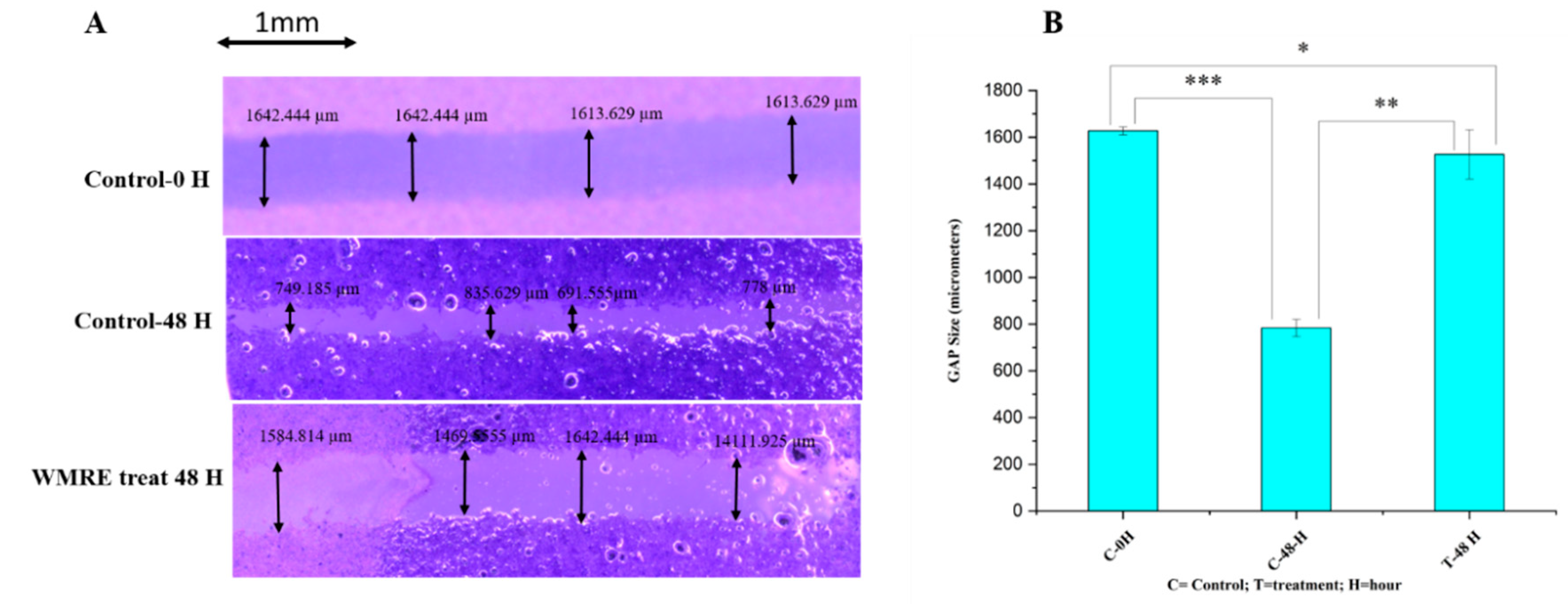 Preprints 85241 g004