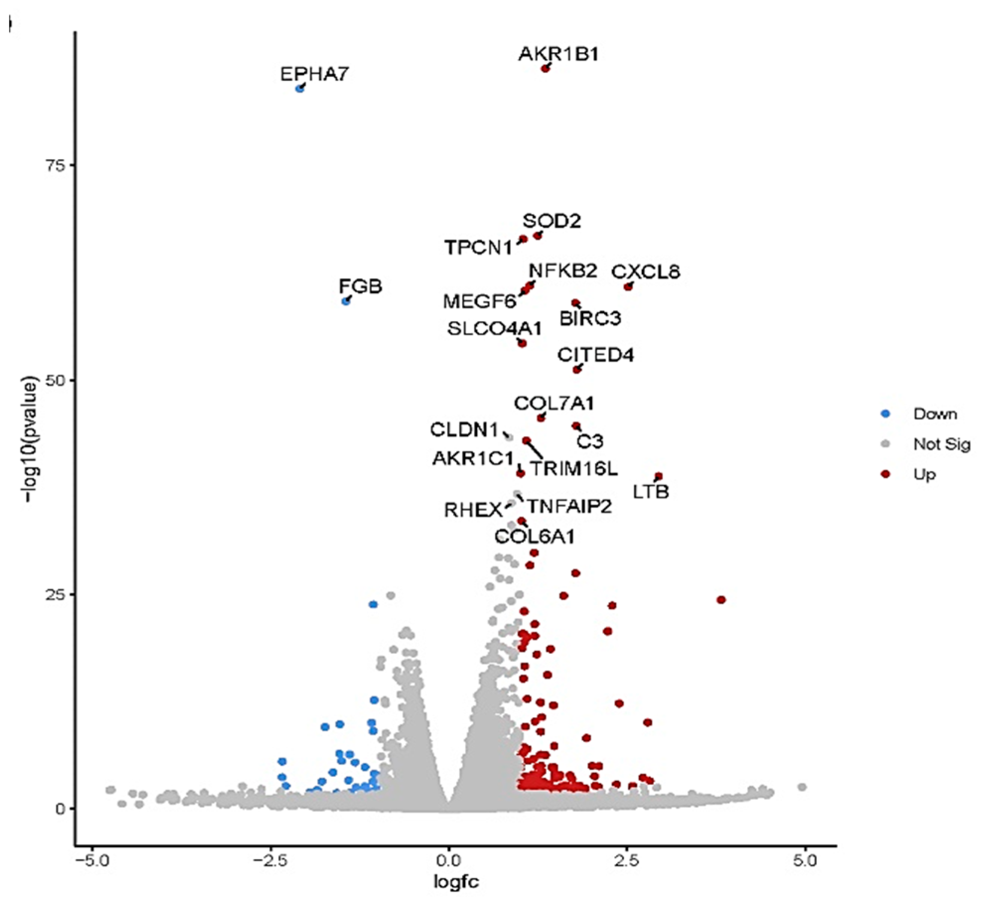 Preprints 85241 g005